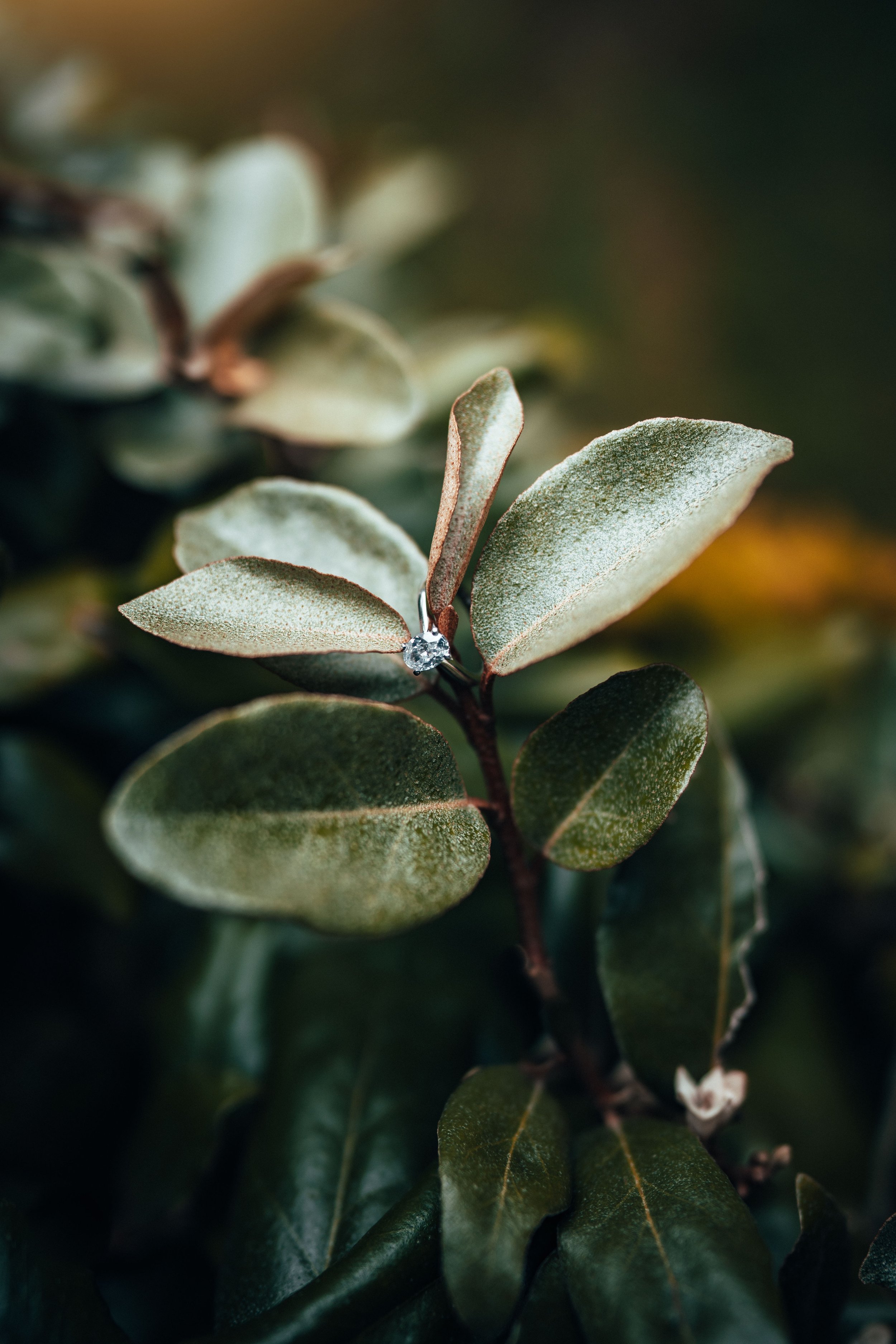 Lake District Wedding Photographer