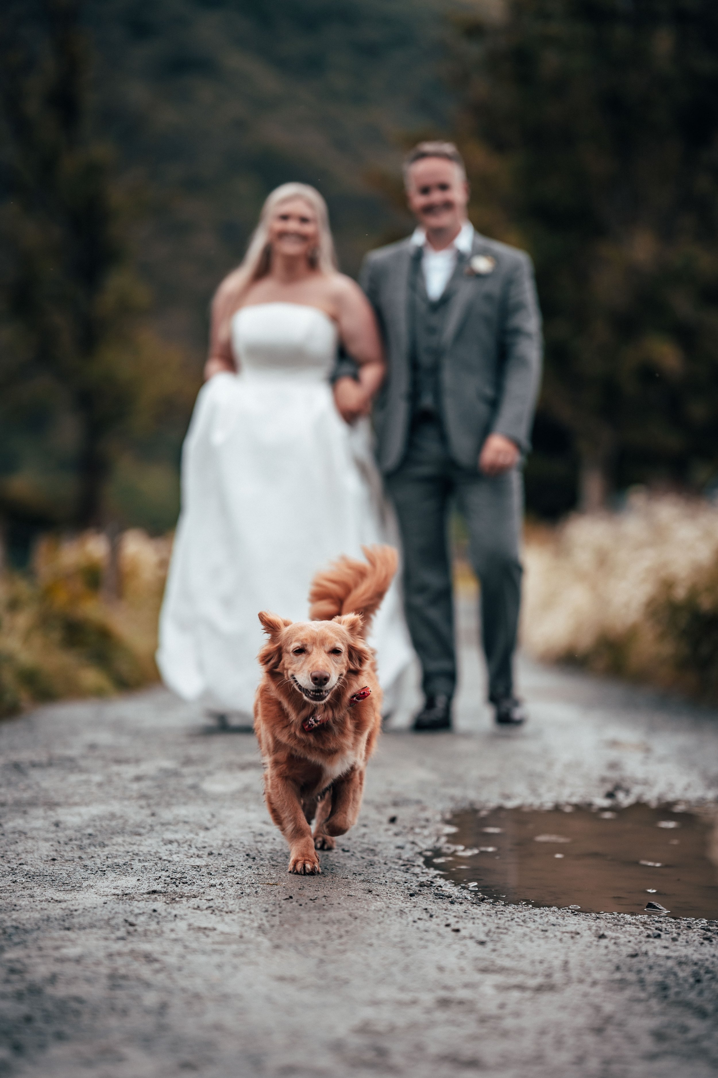 Cumbria Wedding Photographer