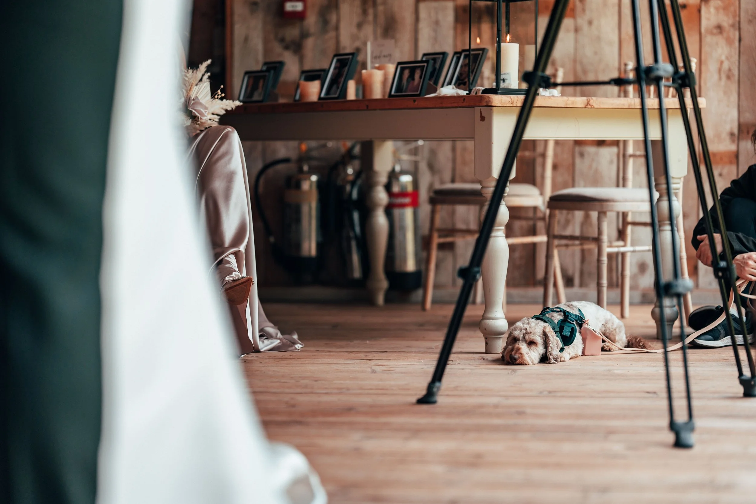 Jordan & Danielle -- Hidden River Barn-91.jpg