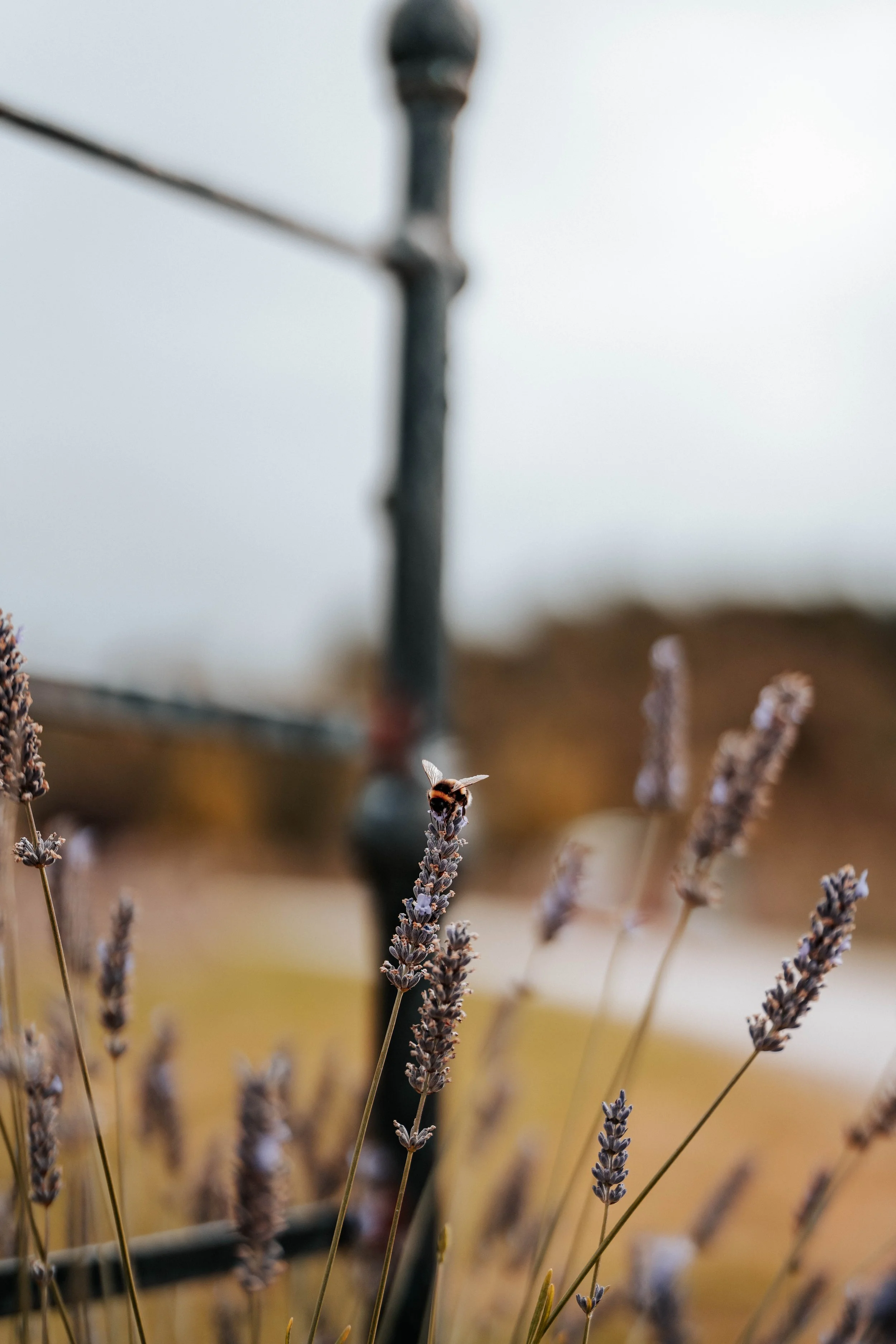 Fraser & Emma -- Ghyll Barn-106.jpg