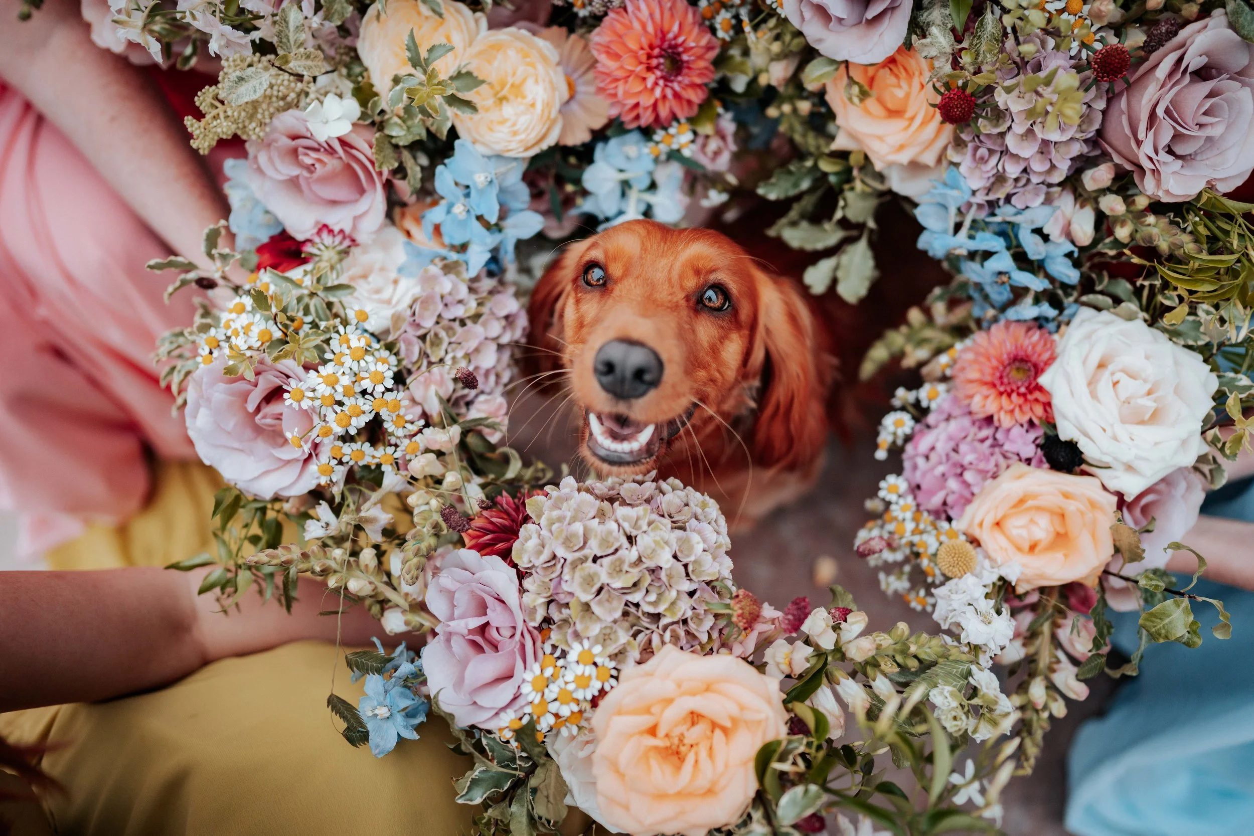 Fraser & Emma -- Ghyll Barn-247.jpg