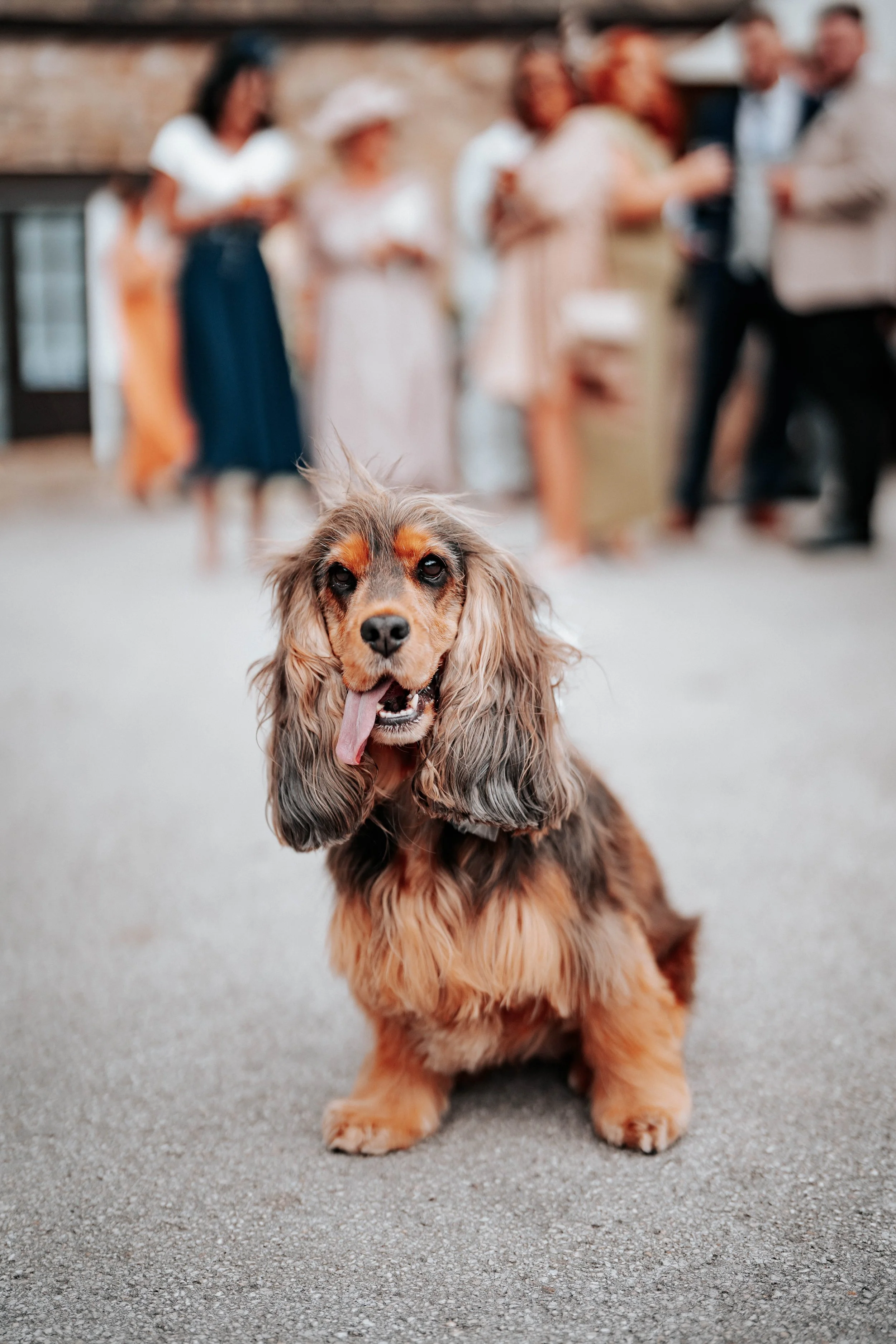 Jake & Abby -- Tankersley Manor Hotel-80.jpg
