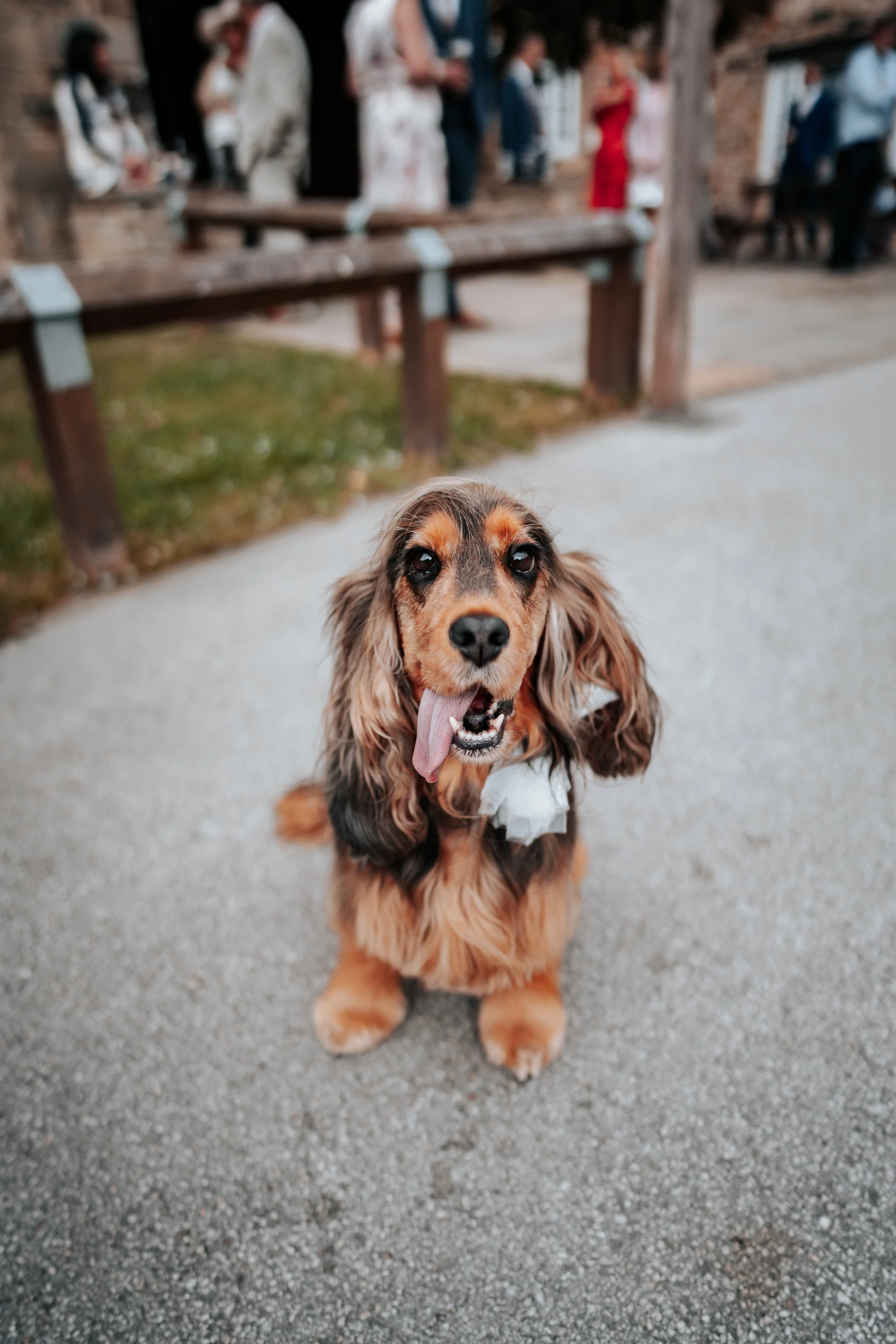 Jake & Abby -- Tankersley Manor Hotel-81.jpg