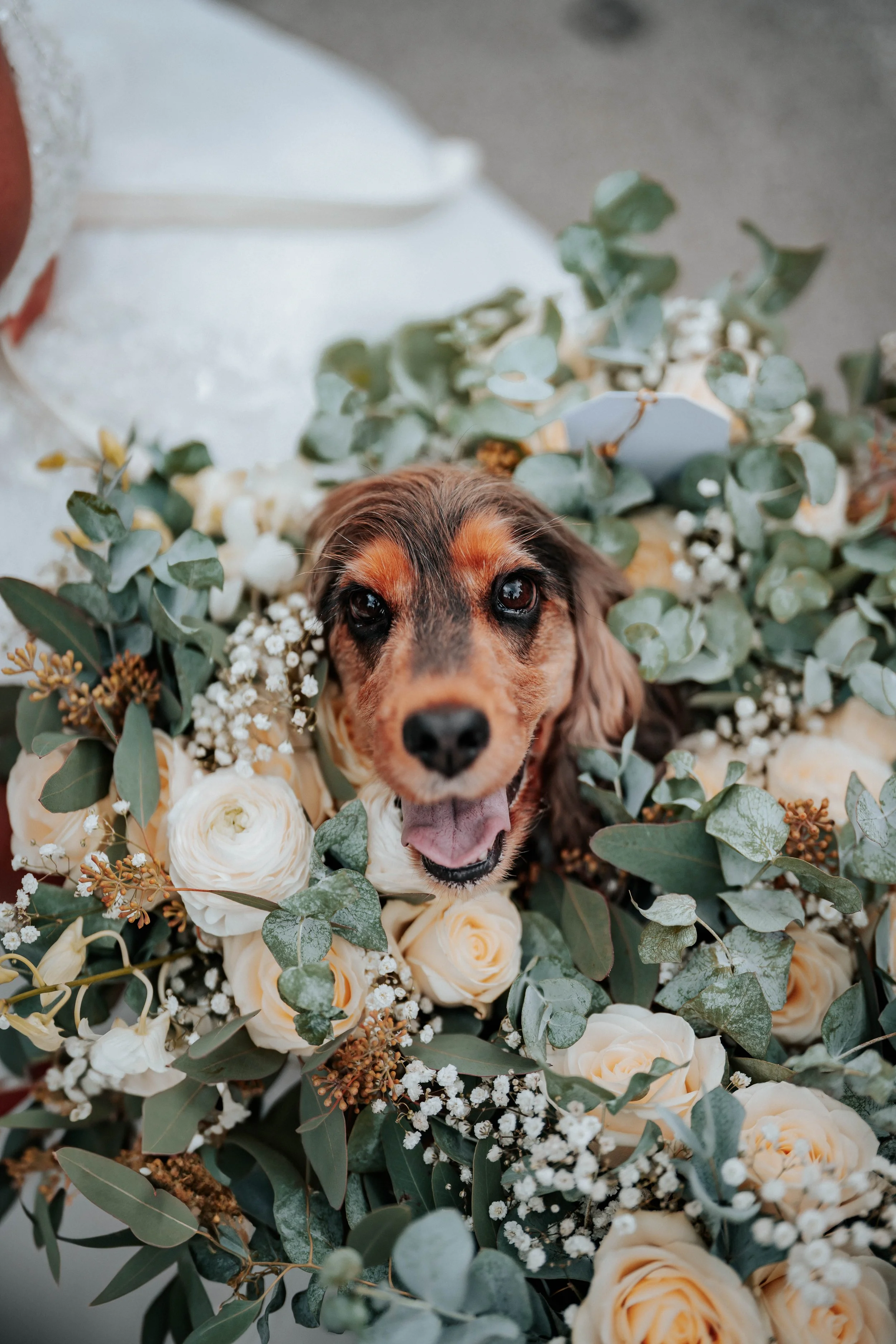 Jake & Abby -- Tankersley Manor Hotel-179.jpg