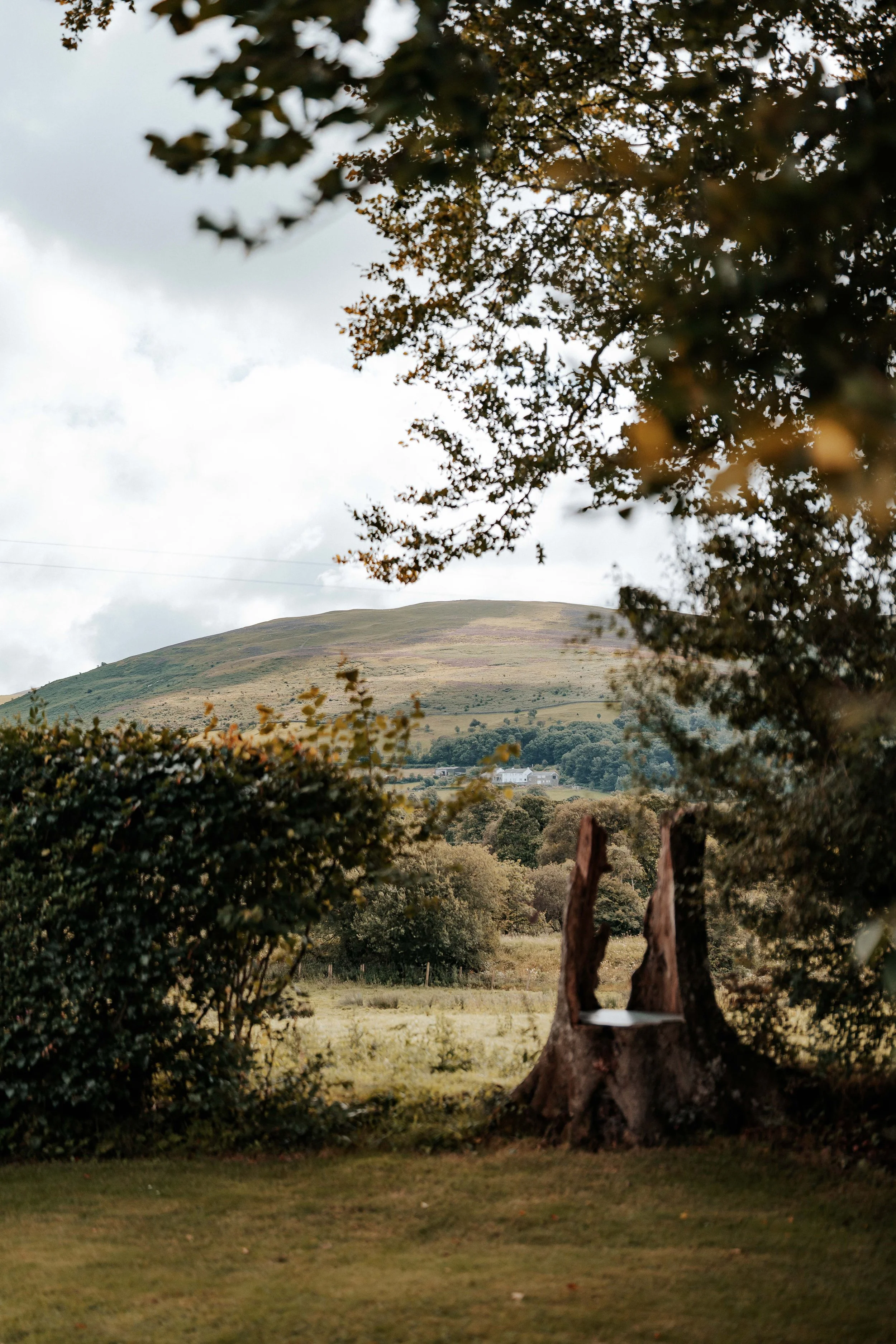 Morgan & Aine -- New House Farm-1.jpg
