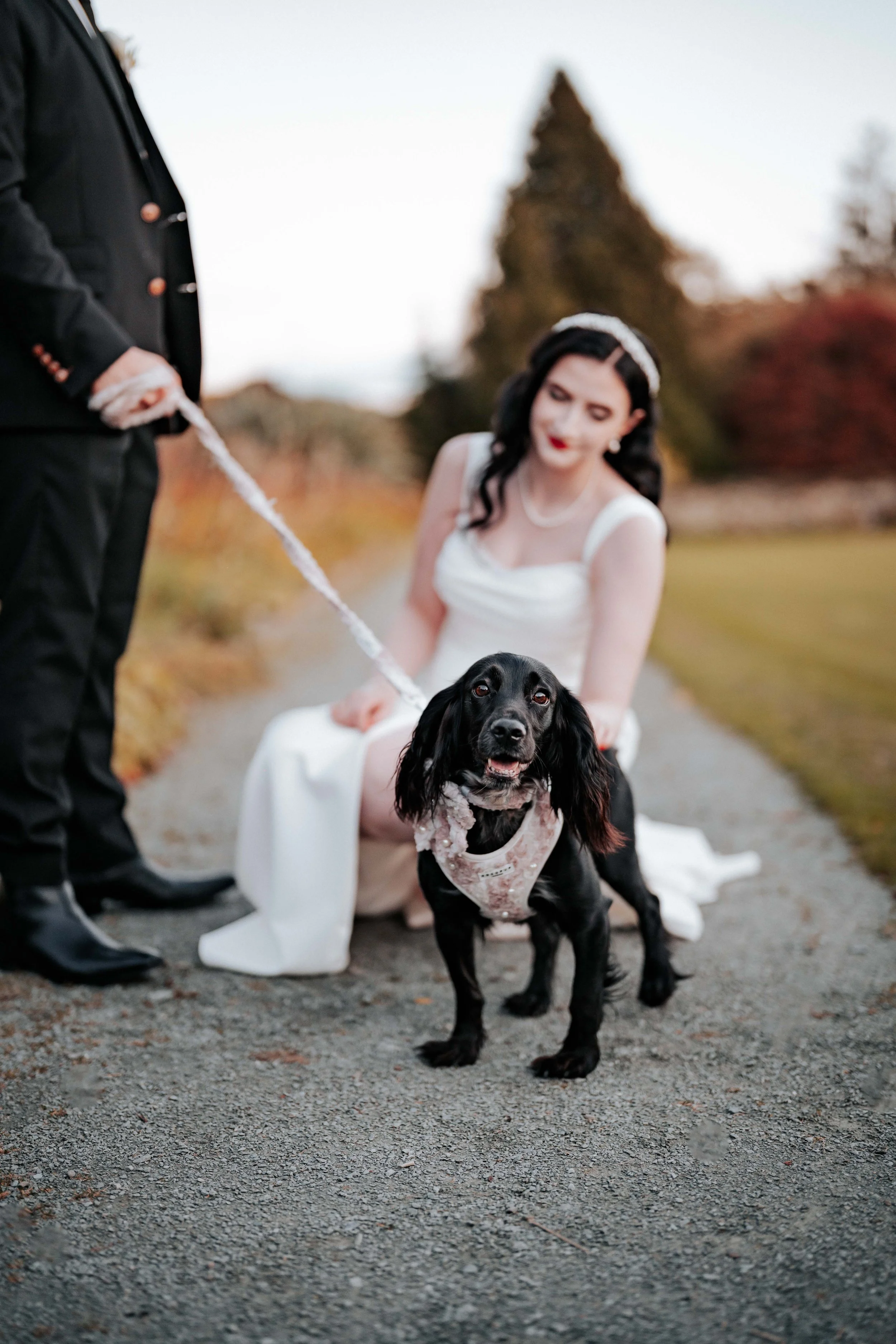 Jack & Willow -- Cragwood Country House Hotel-217.jpg