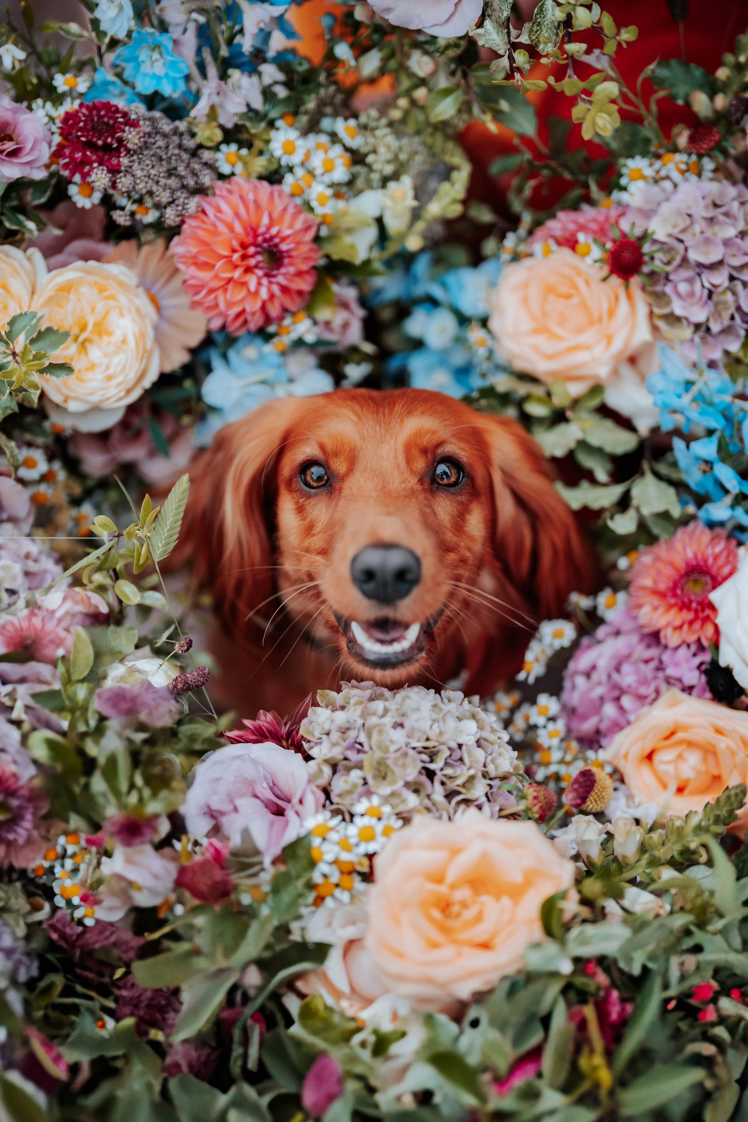 Adam Grills Photography-58.jpg