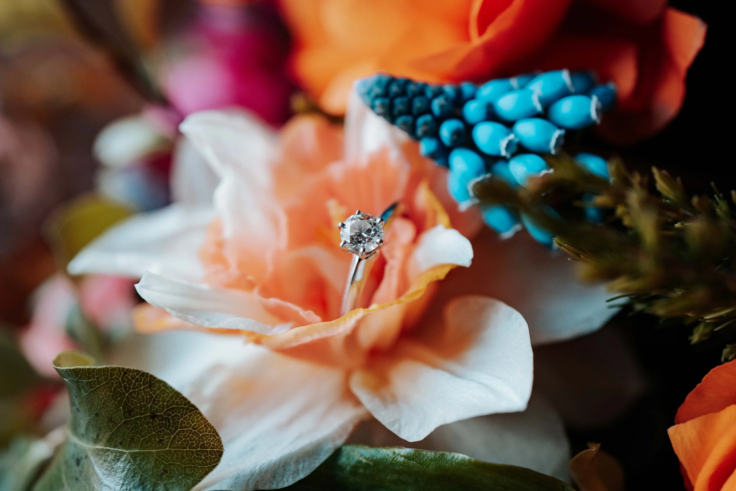 Adam Grills Photography 2-1.jpg