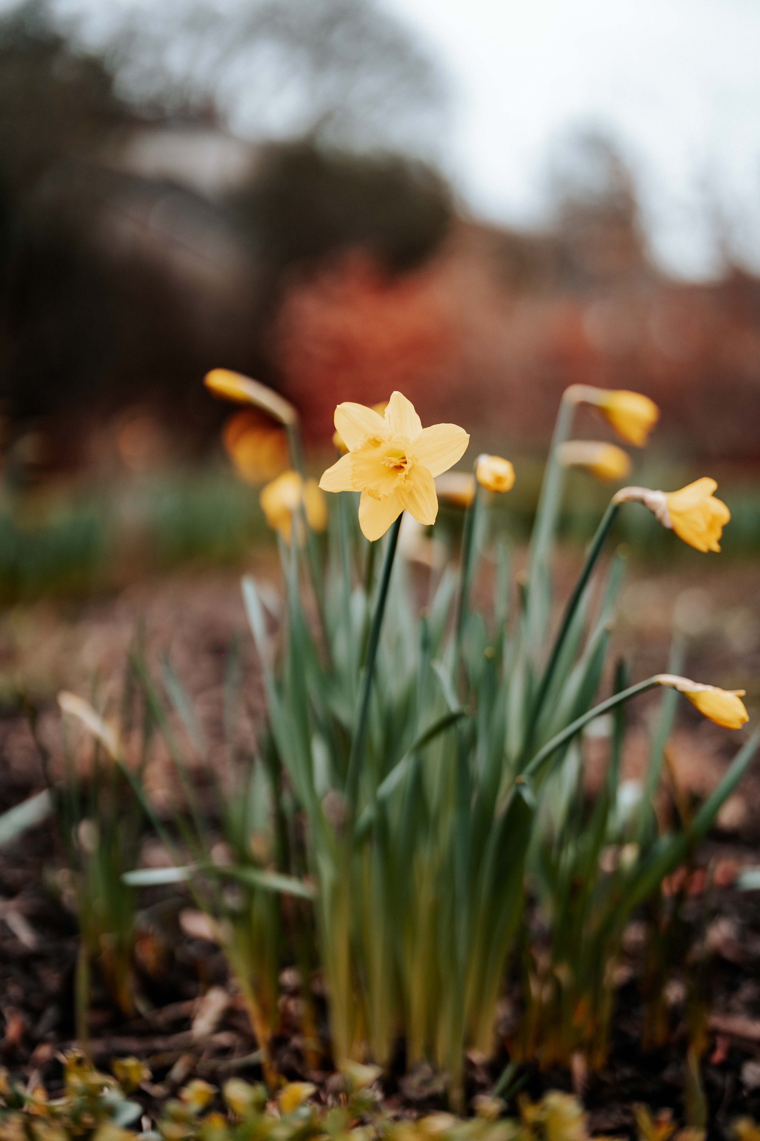 Blake & Kaia -- Town Head Estate-10.jpg