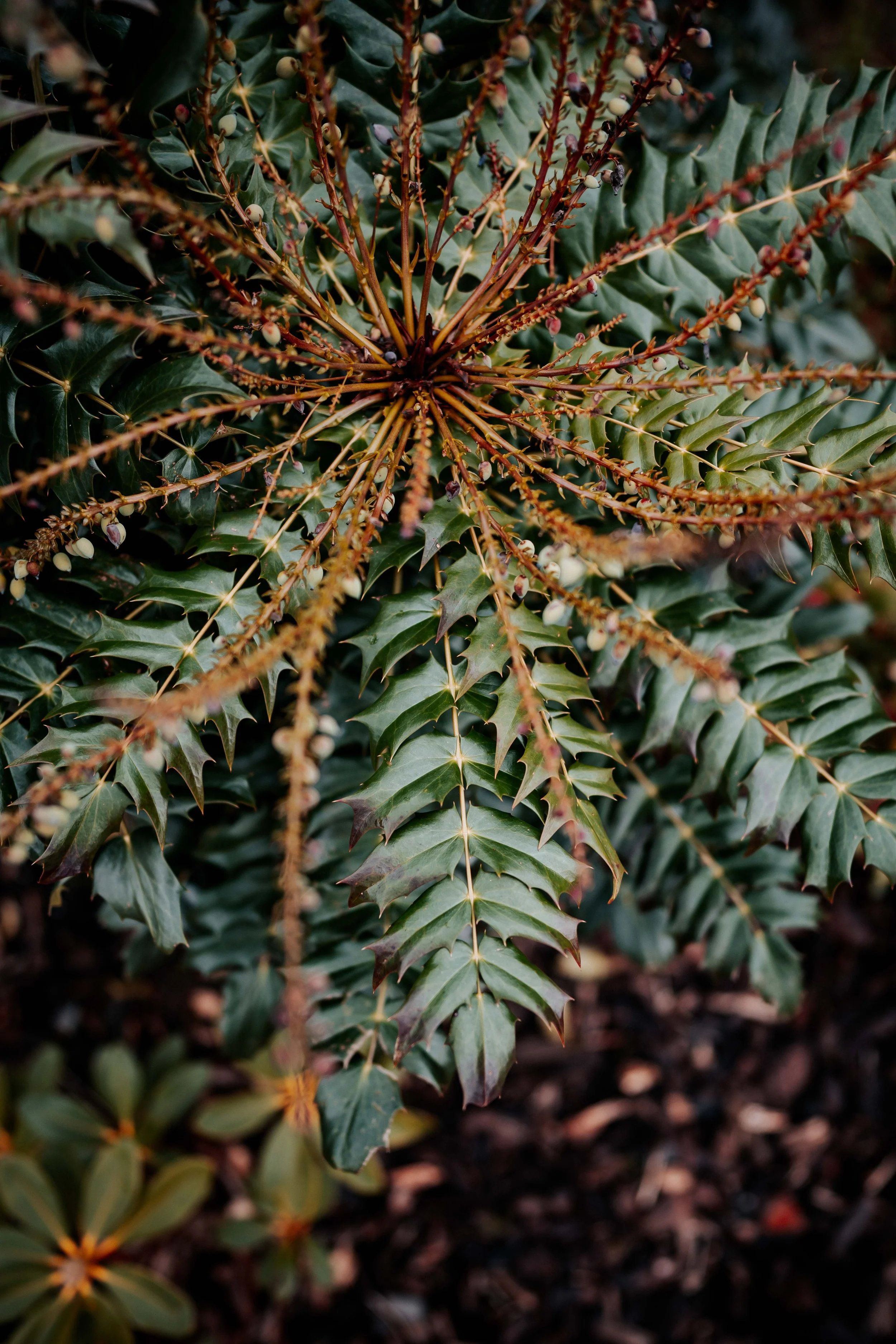 Blake & Kaia -- Town Head Estate-11.jpg