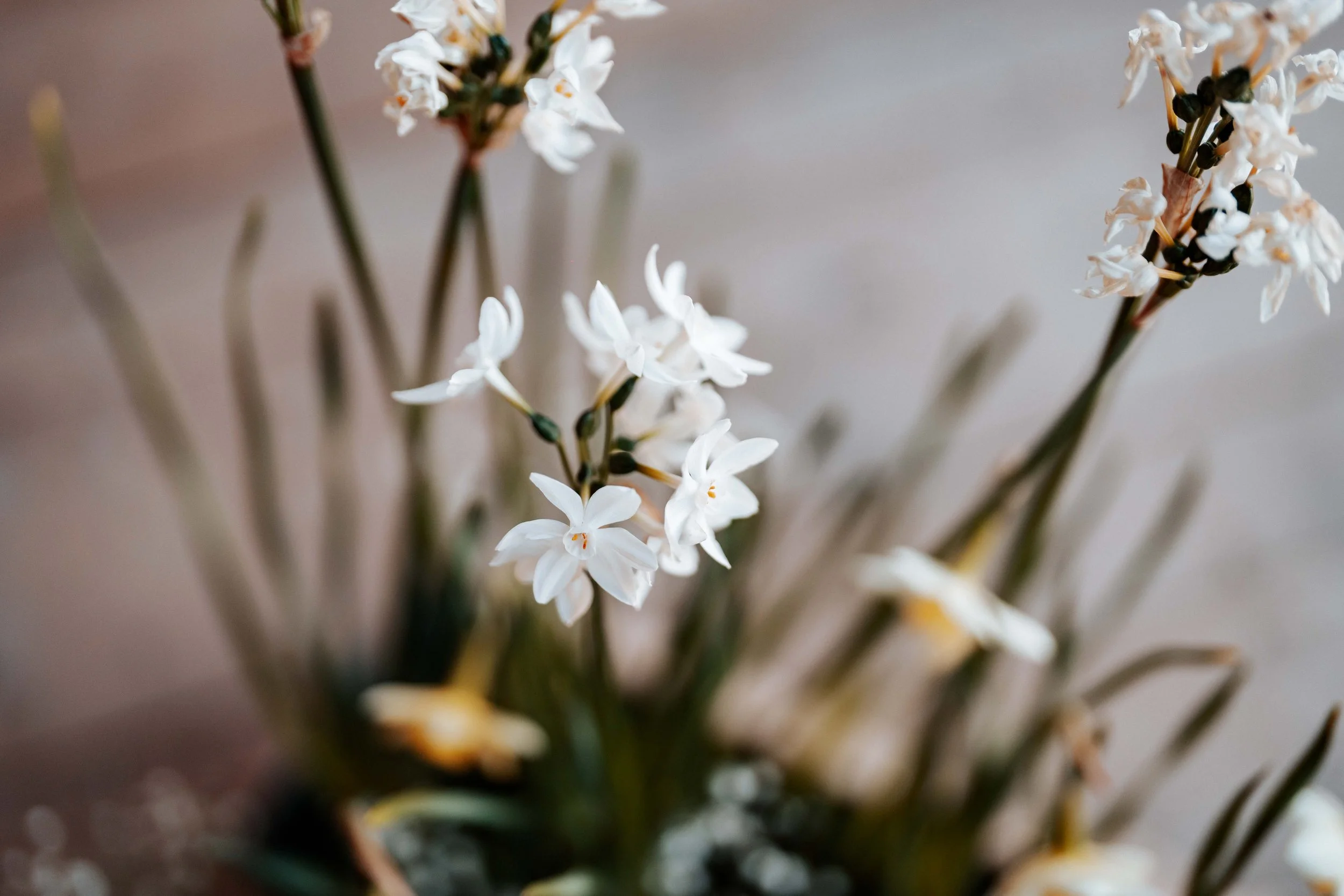 Harry & Olivia -- Hidden River Barn-16.jpg