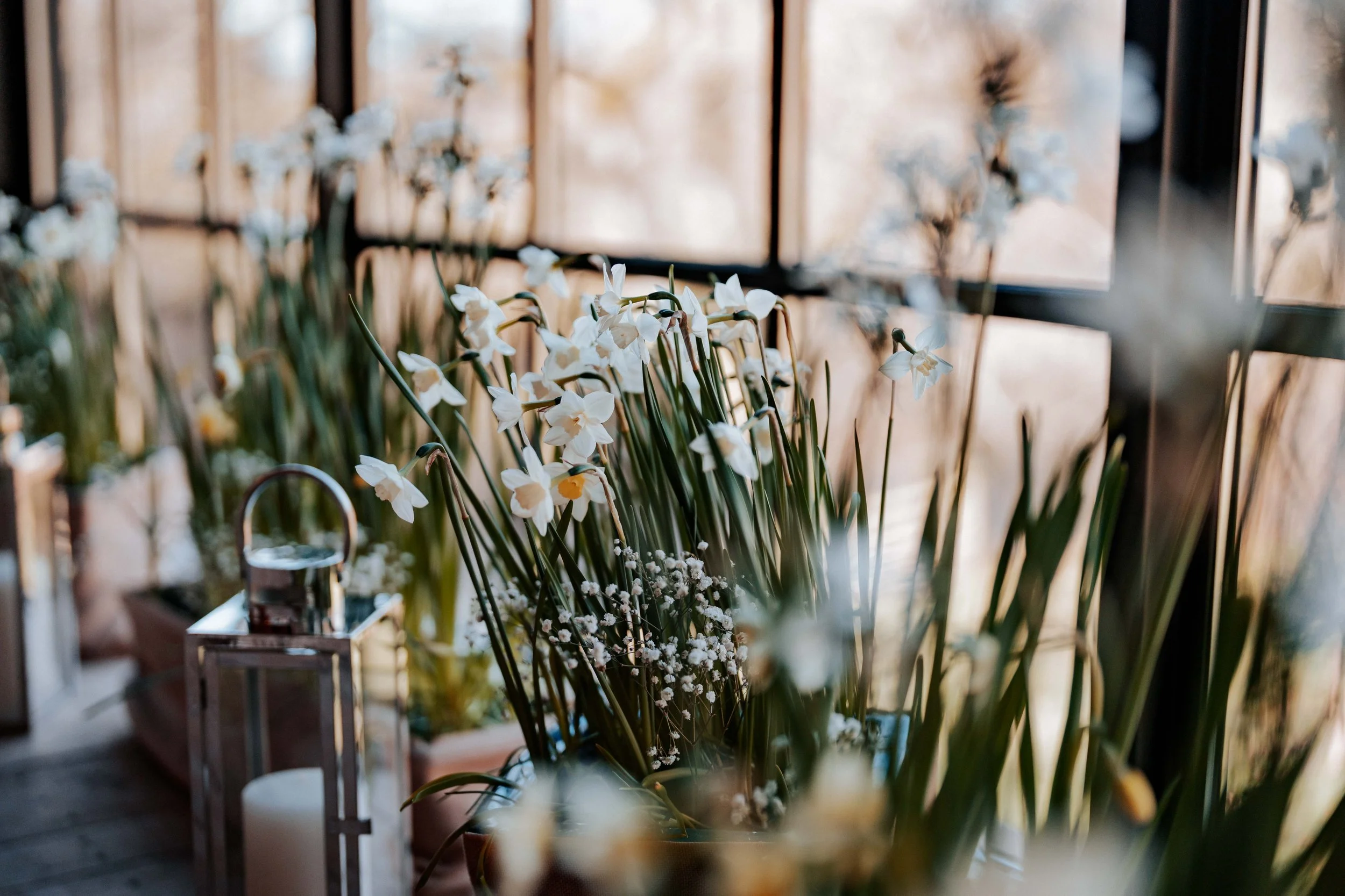 Harry & Olivia -- Hidden River Barn-15.jpg