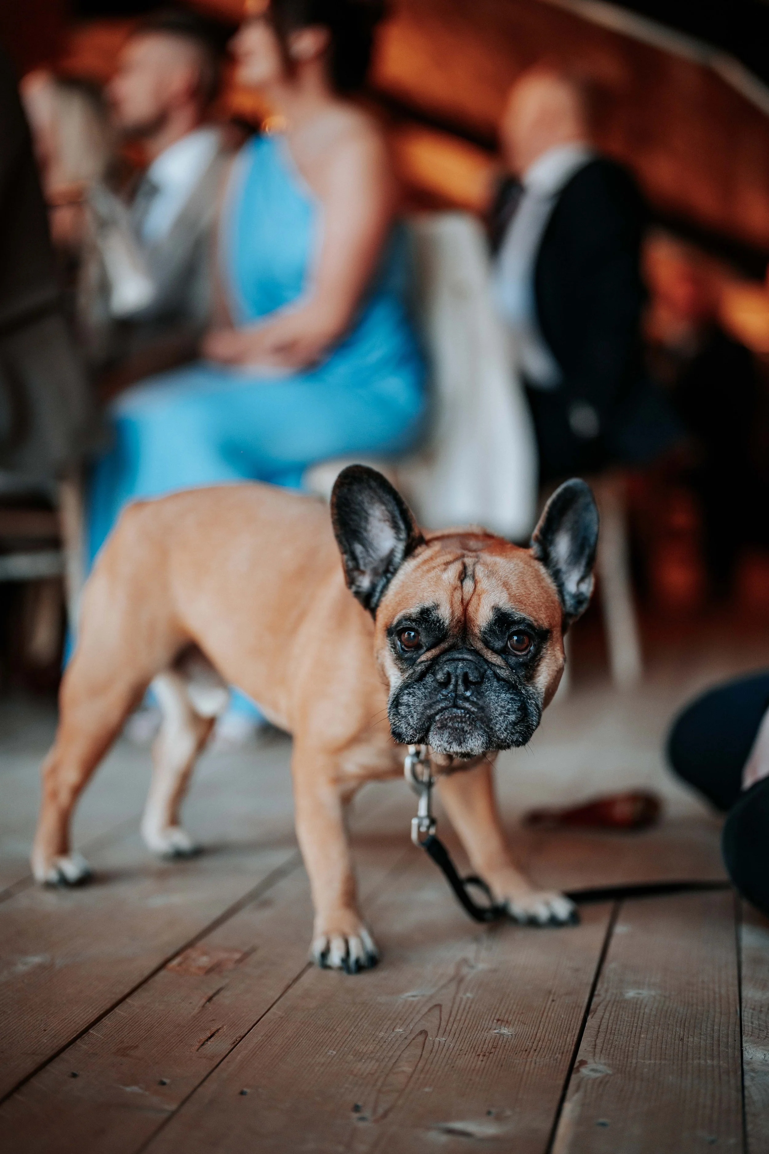 Legh & Abbie -- Hidden River Barn-83.jpg