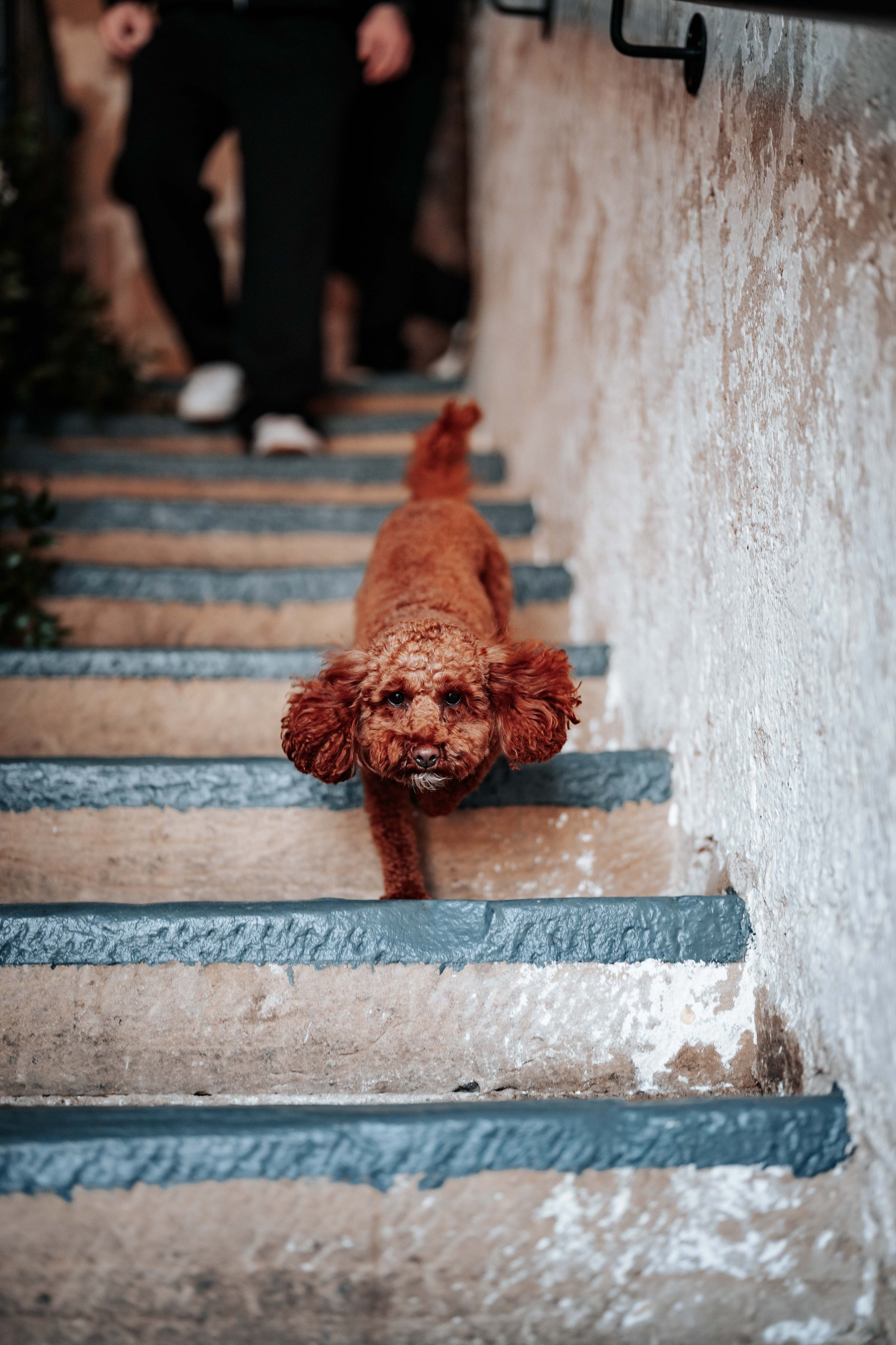 Jonny & Lewis -- Wharfedale Grange-33.jpg