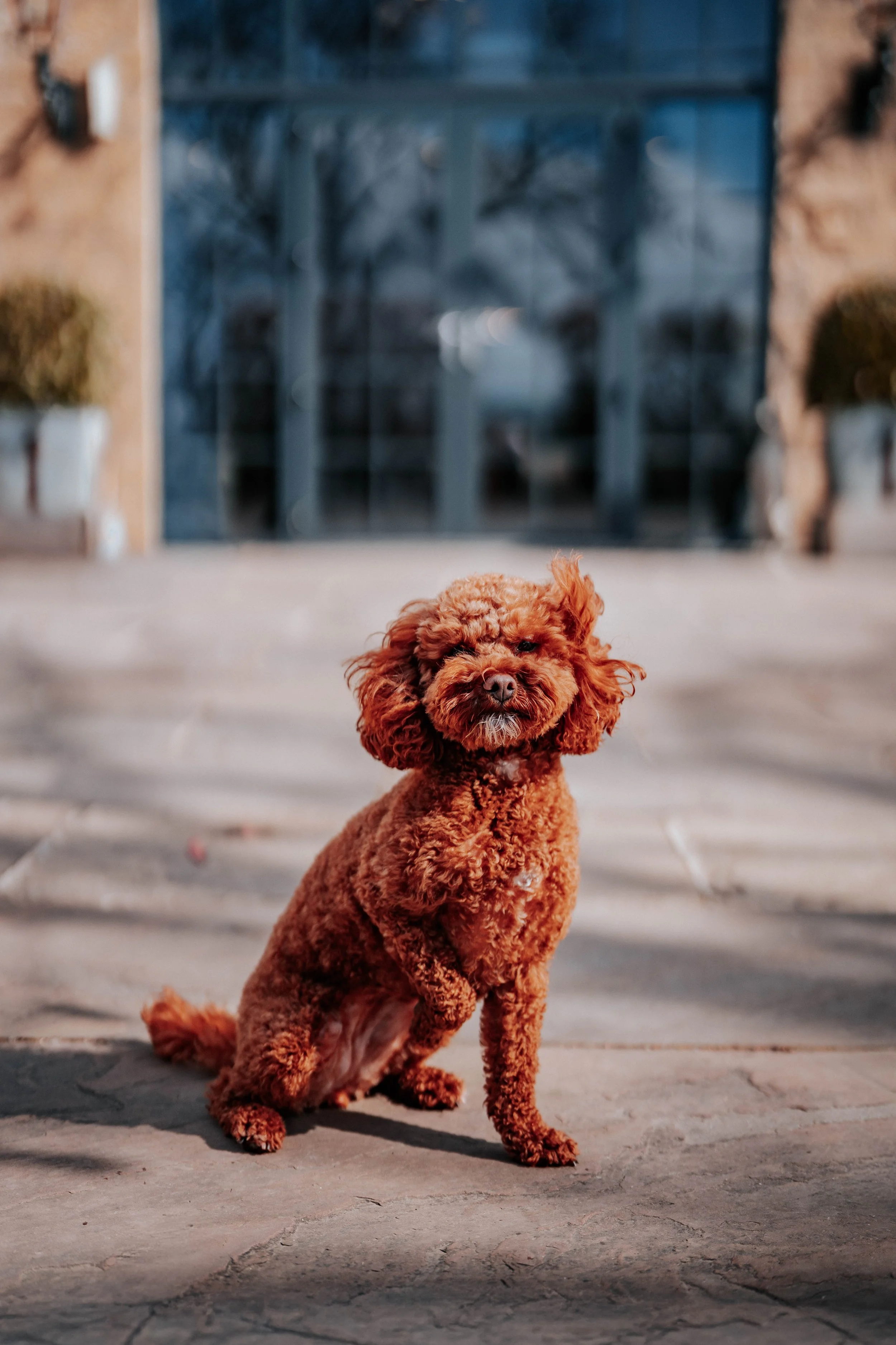 Jonny & Lewis -- Wharfedale Grange-34.jpg