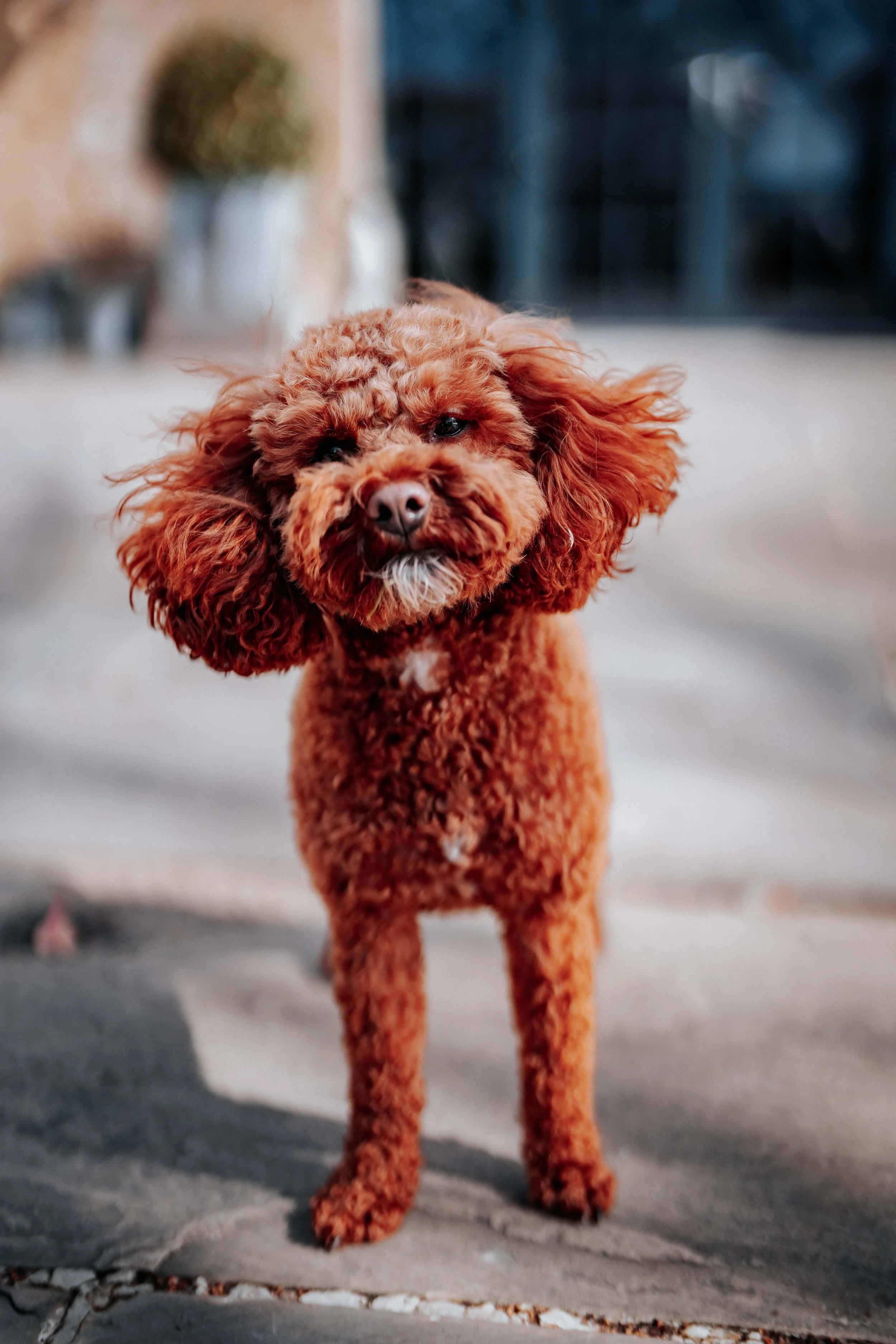 Jonny & Lewis -- Wharfedale Grange-35.jpg