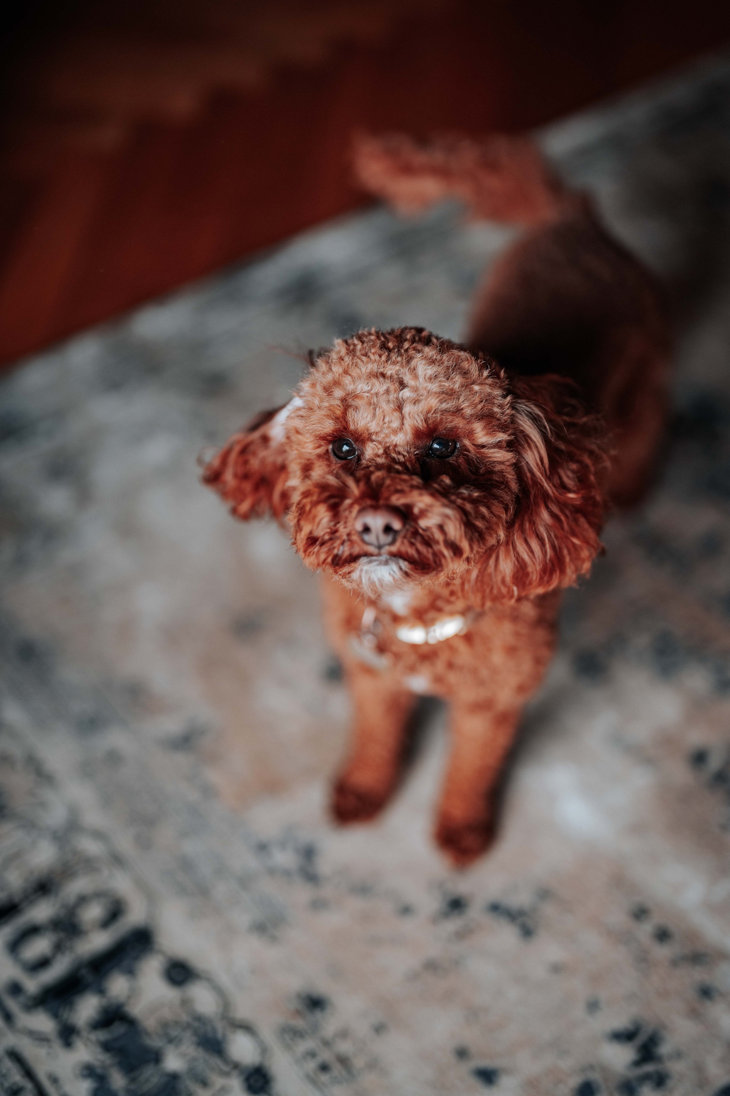 Jonny & Lewis -- Wharfedale Grange-40.jpg