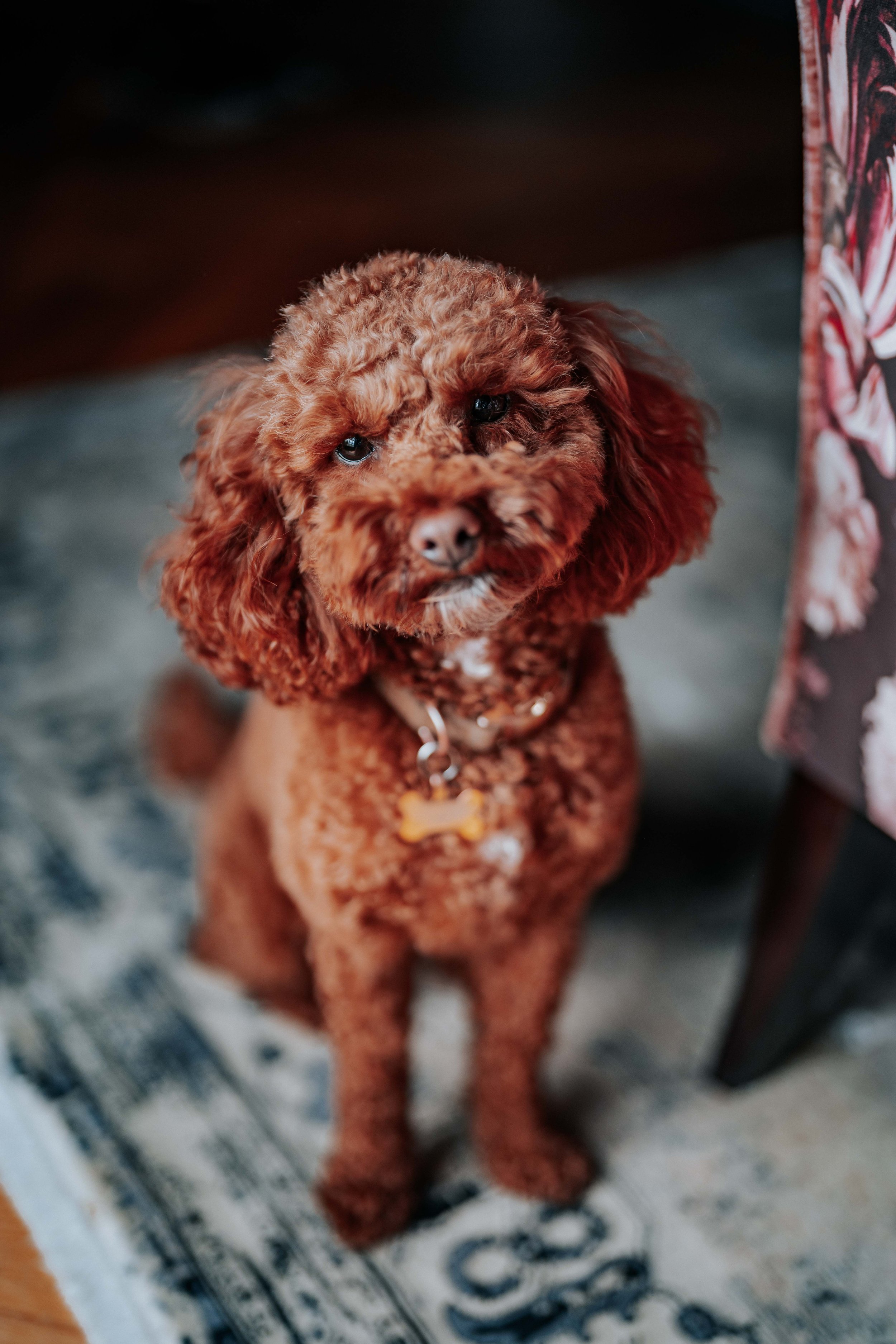 Jonny & Lewis -- Wharfedale Grange-41.jpg