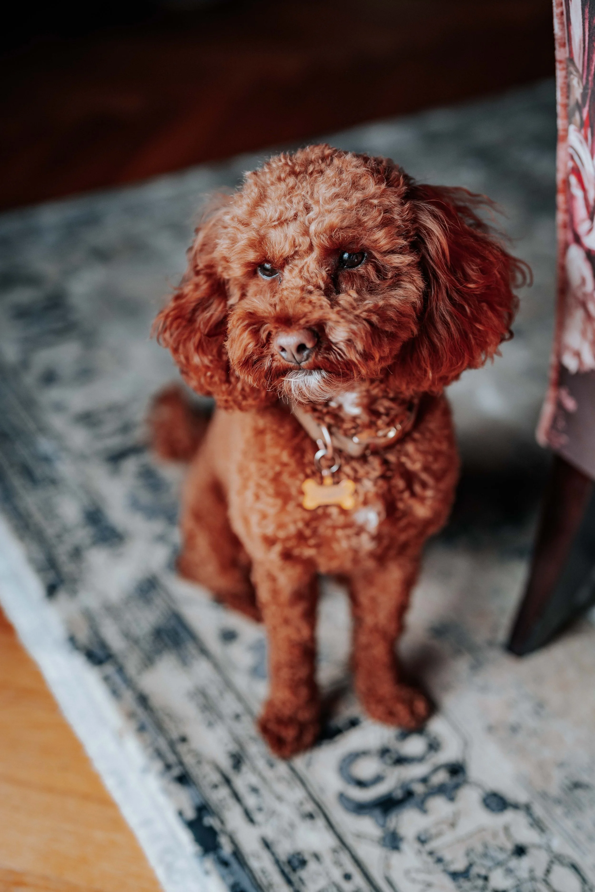 Jonny & Lewis -- Wharfedale Grange-42.jpg