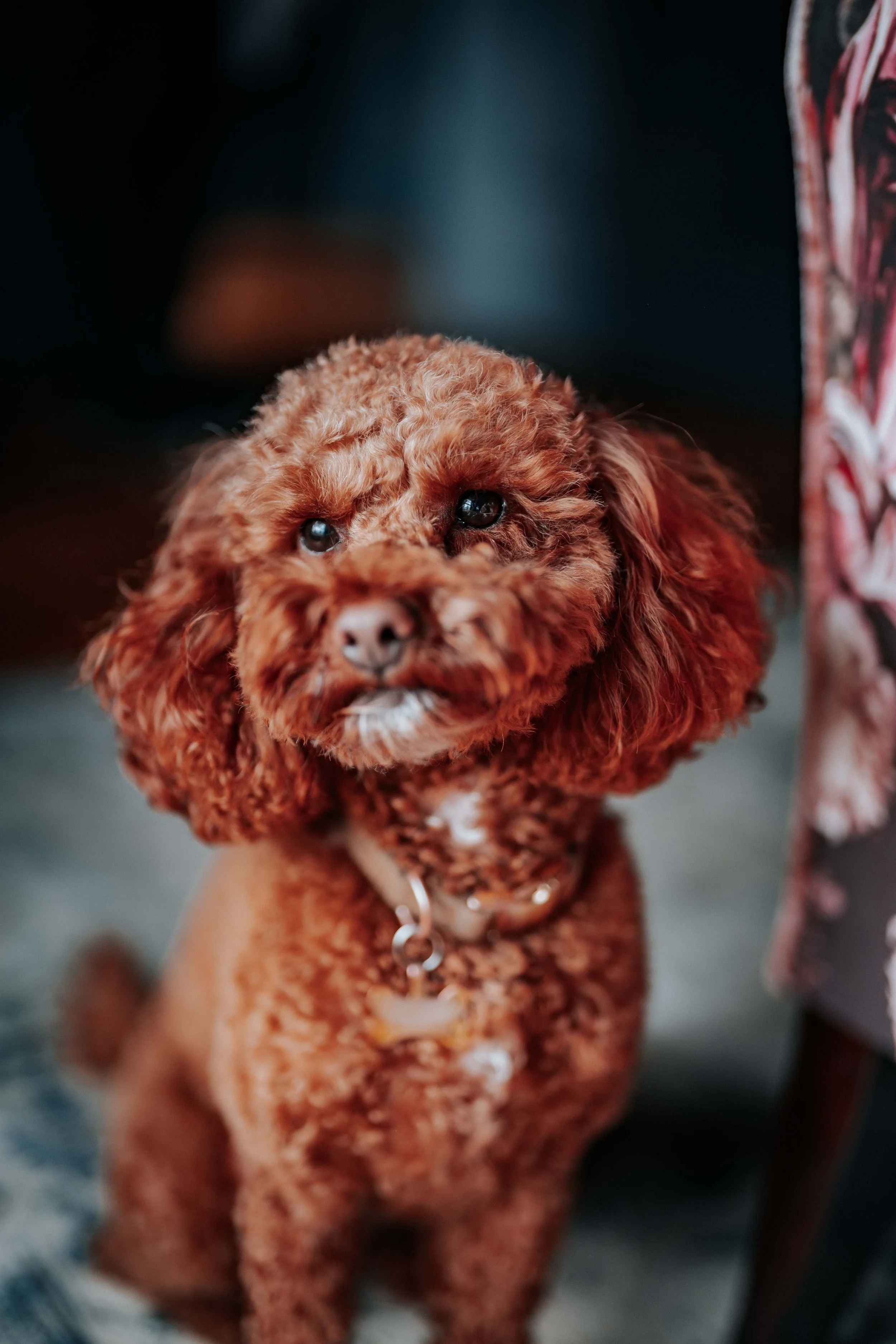 Jonny & Lewis -- Wharfedale Grange-43.jpg