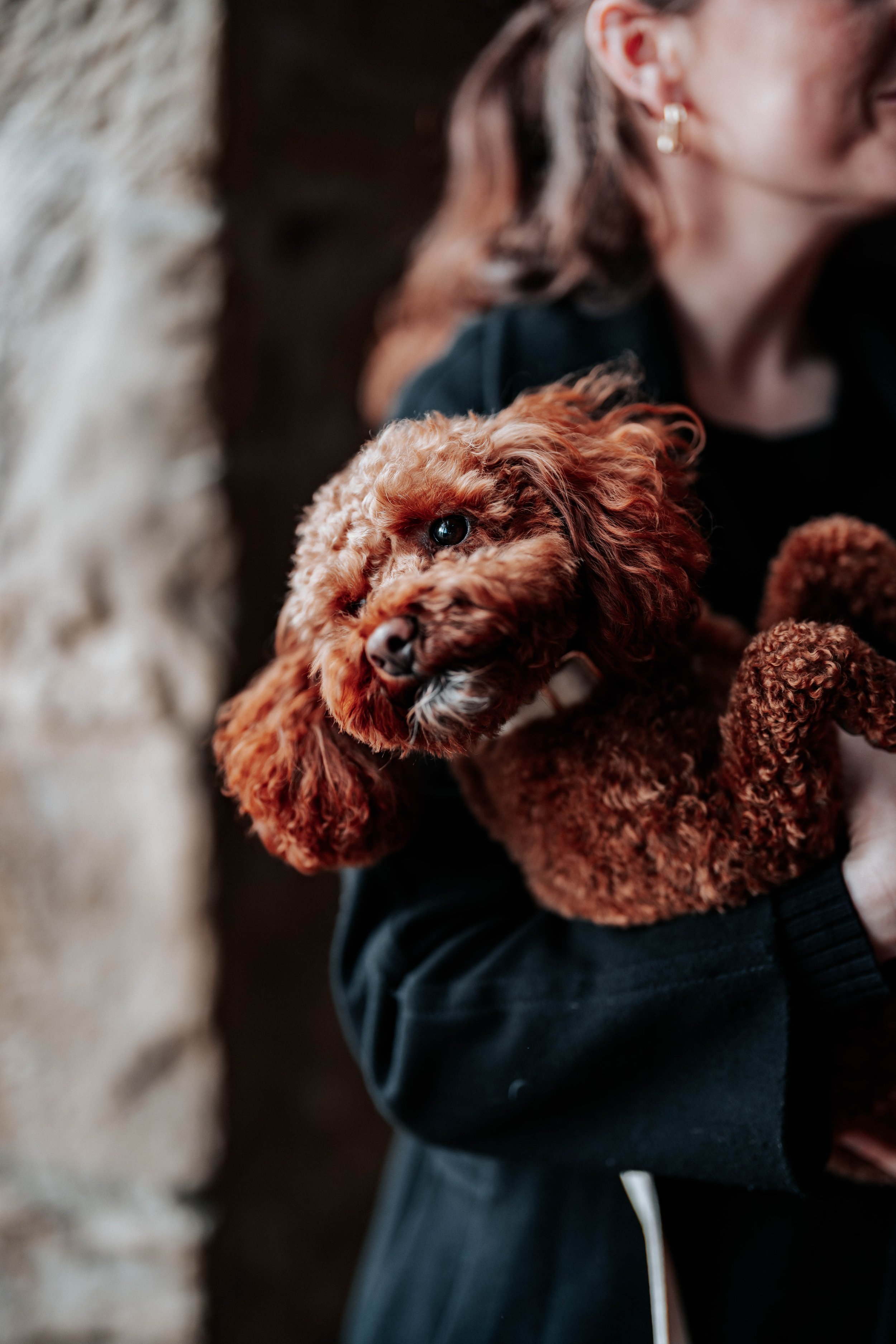 Jonny & Lewis -- Wharfedale Grange-94.jpg