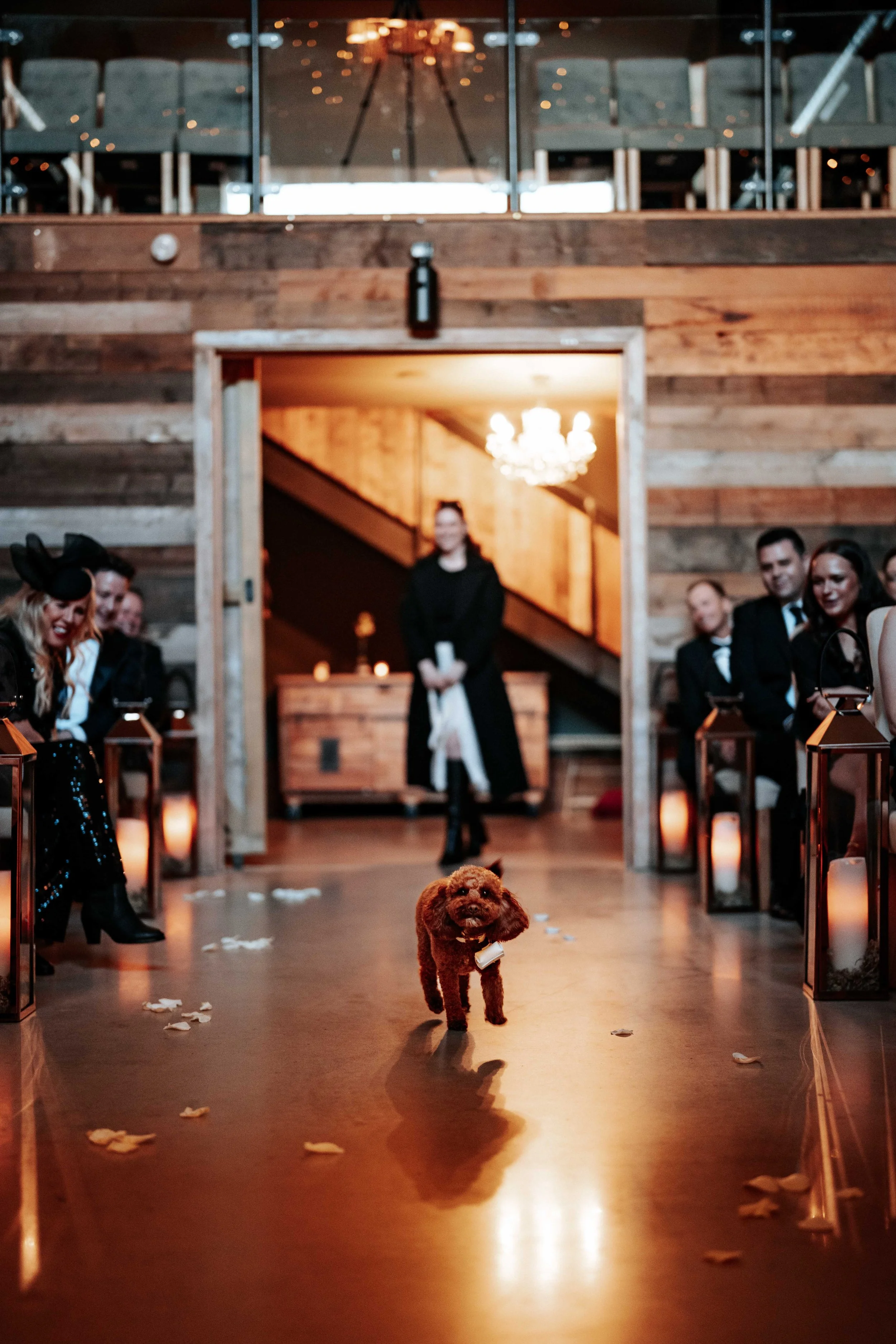 Jonny & Lewis -- Wharfedale Grange-147.jpg