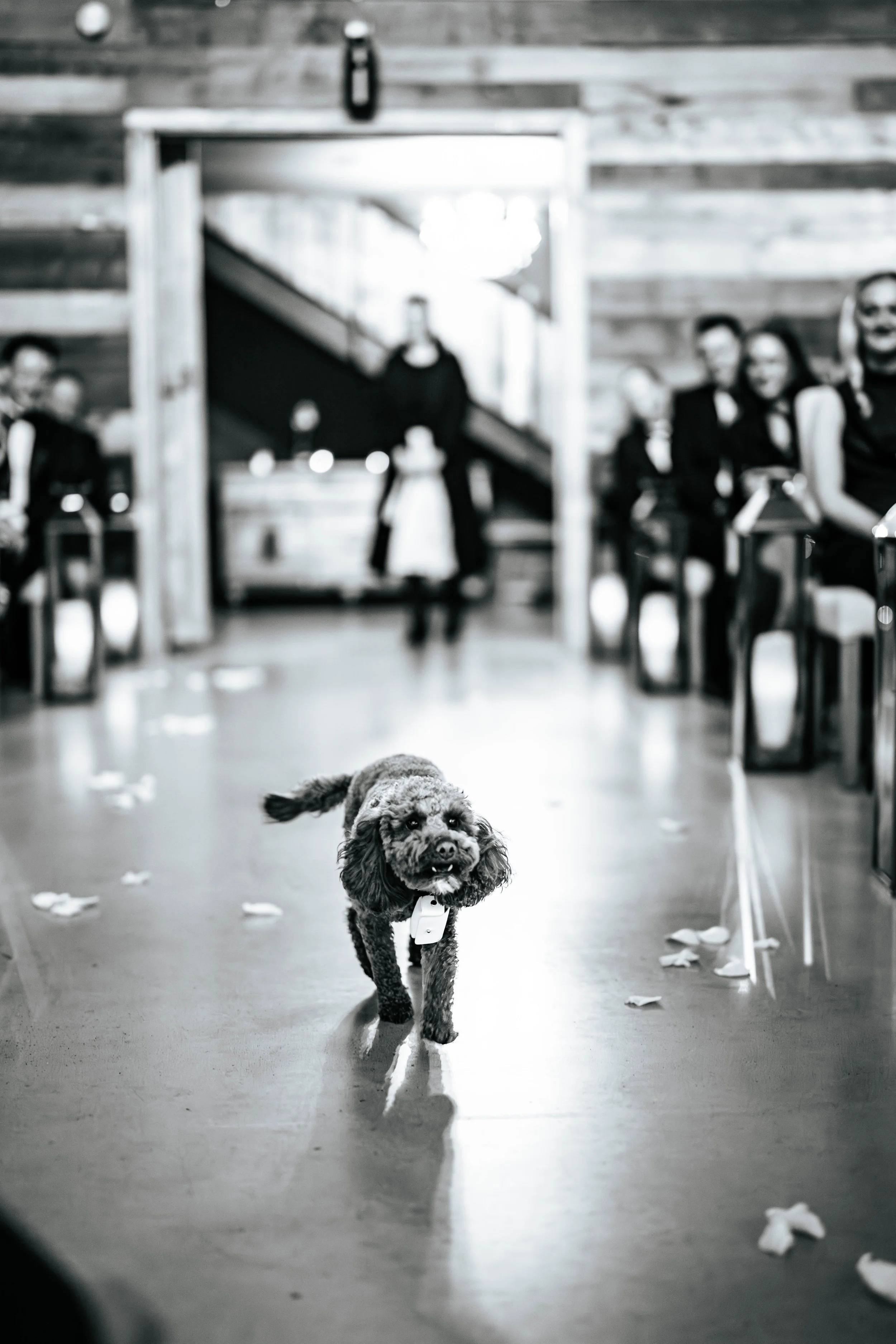 Jonny & Lewis -- Wharfedale Grange-148.jpg