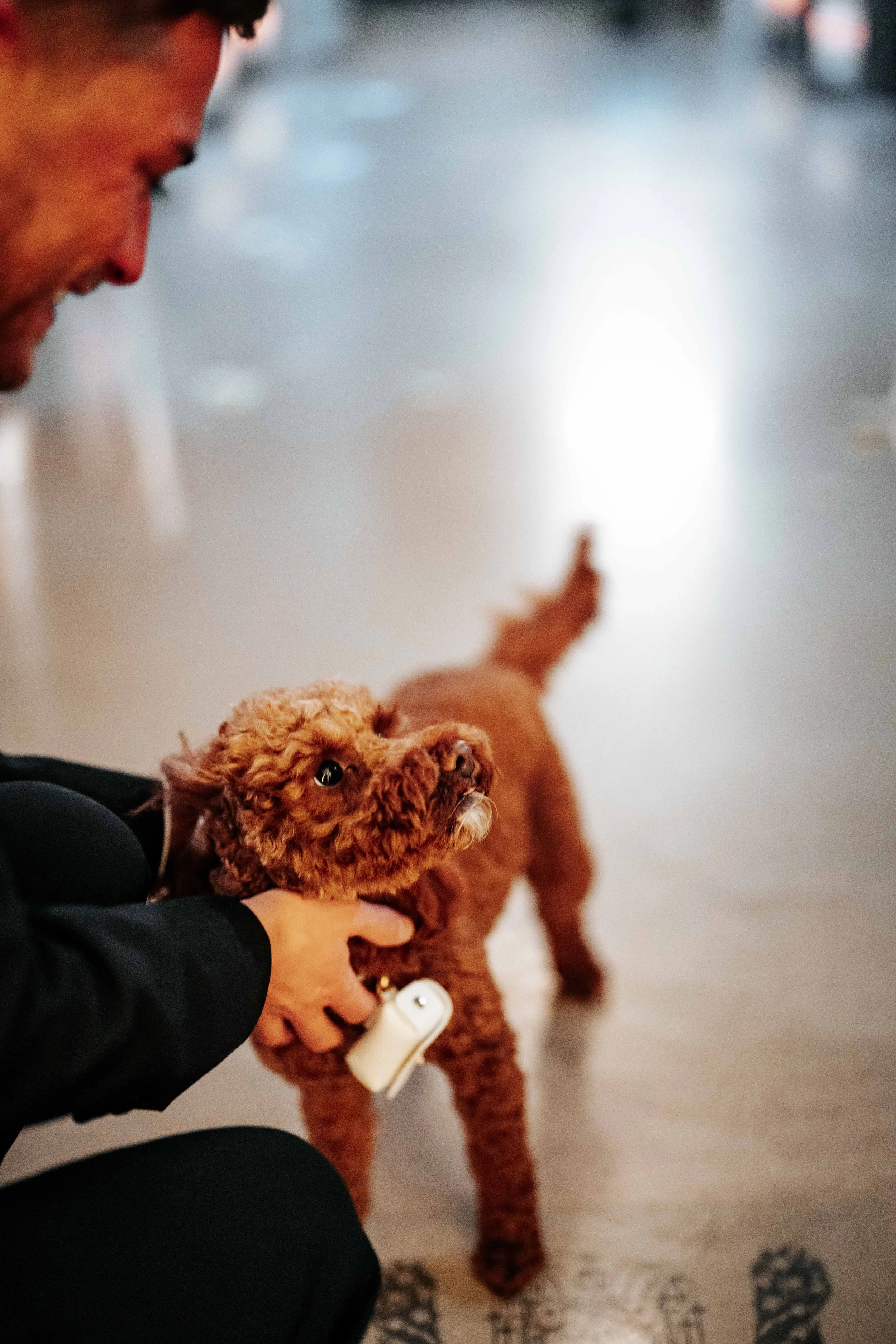 Jonny & Lewis -- Wharfedale Grange-149.jpg