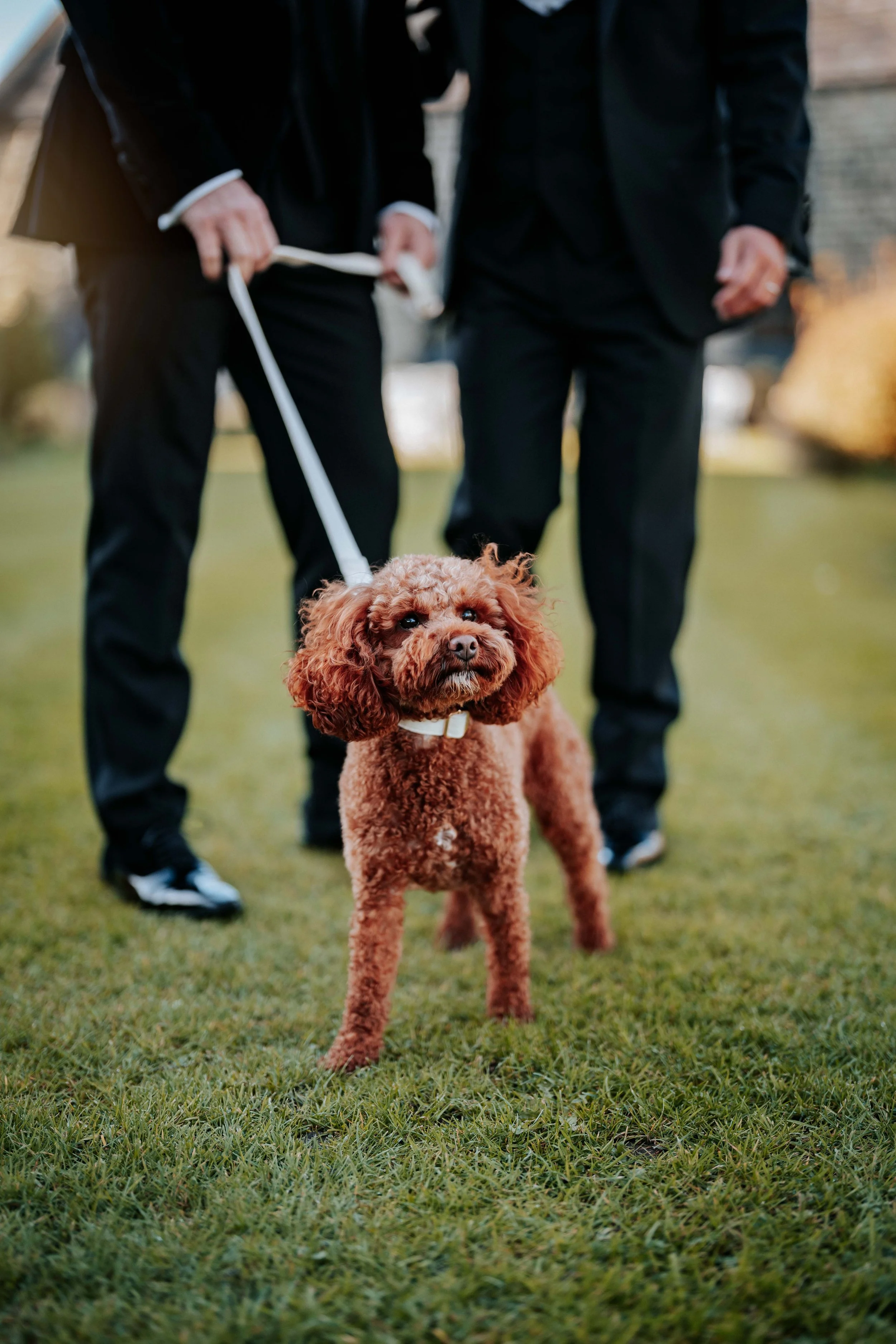 Jonny & Lewis -- Wharfedale Grange-219.jpg