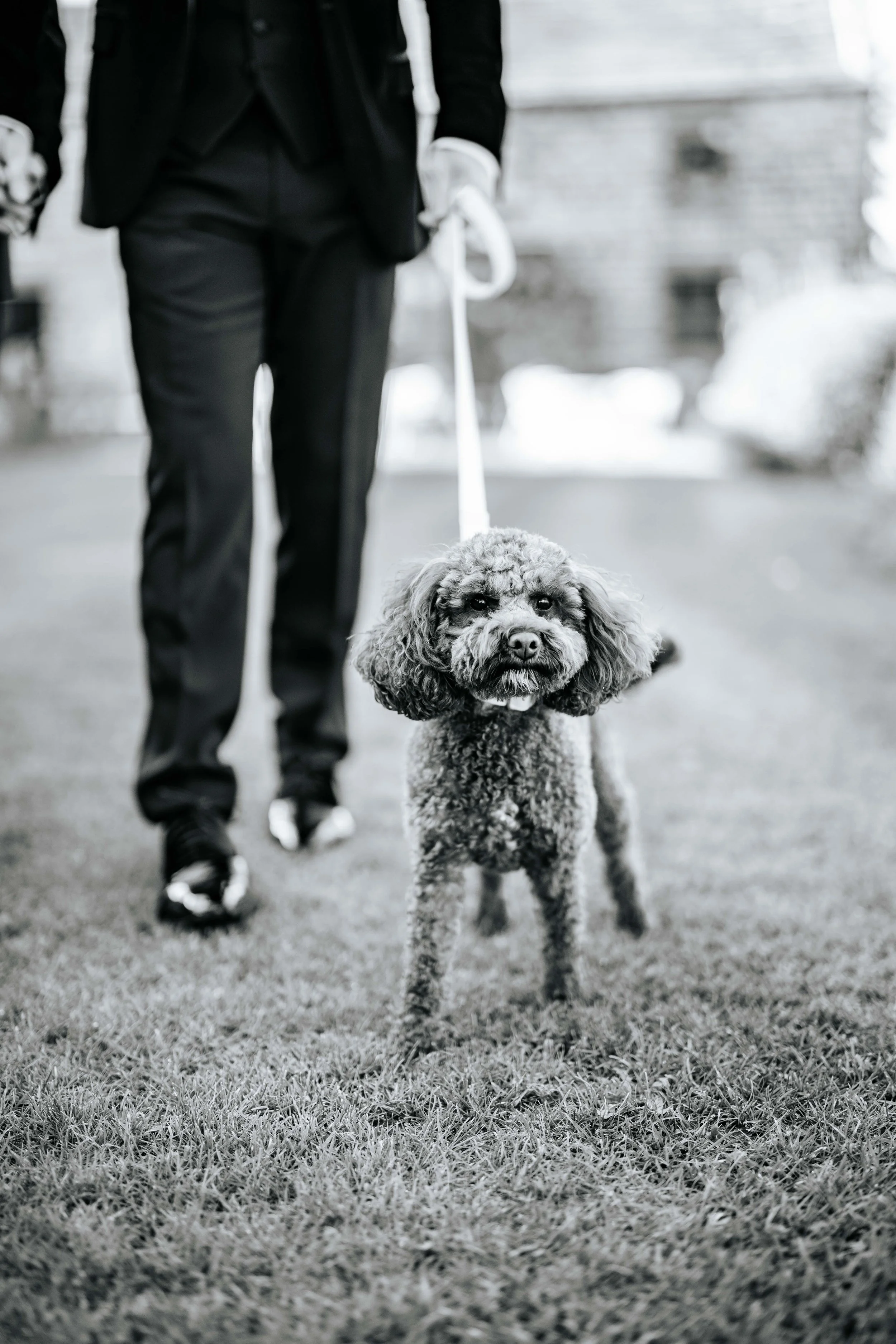 Jonny & Lewis -- Wharfedale Grange-220.jpg