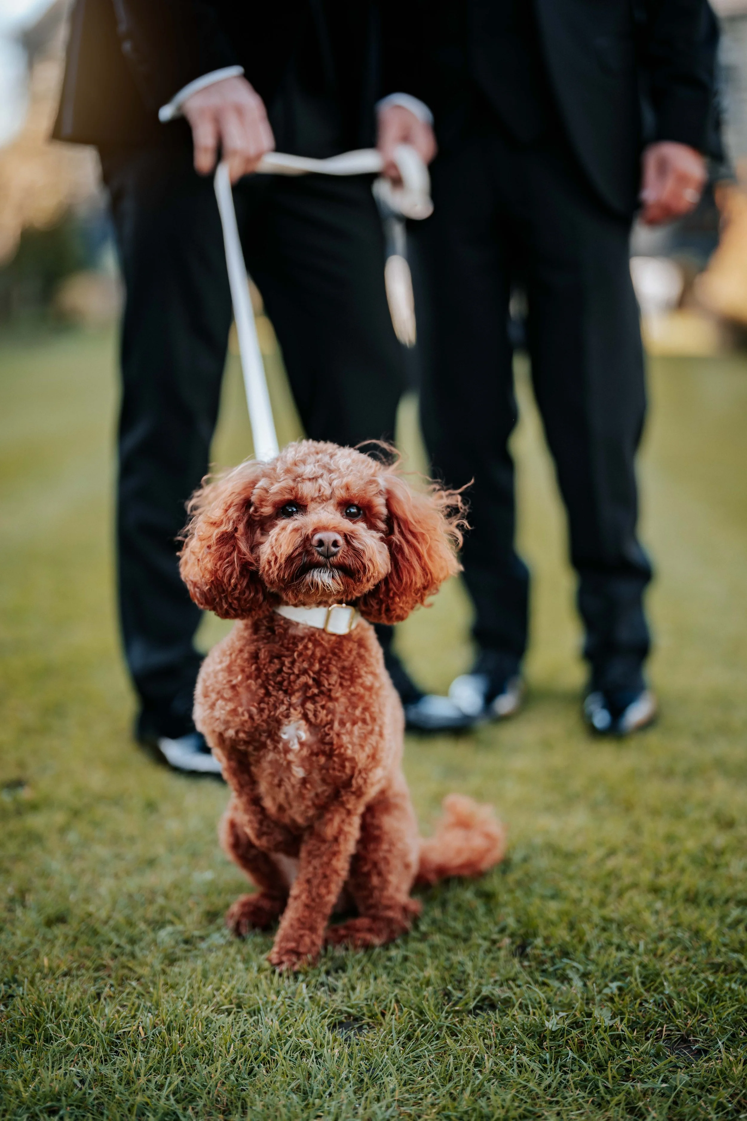 Jonny & Lewis -- Wharfedale Grange-9.jpg