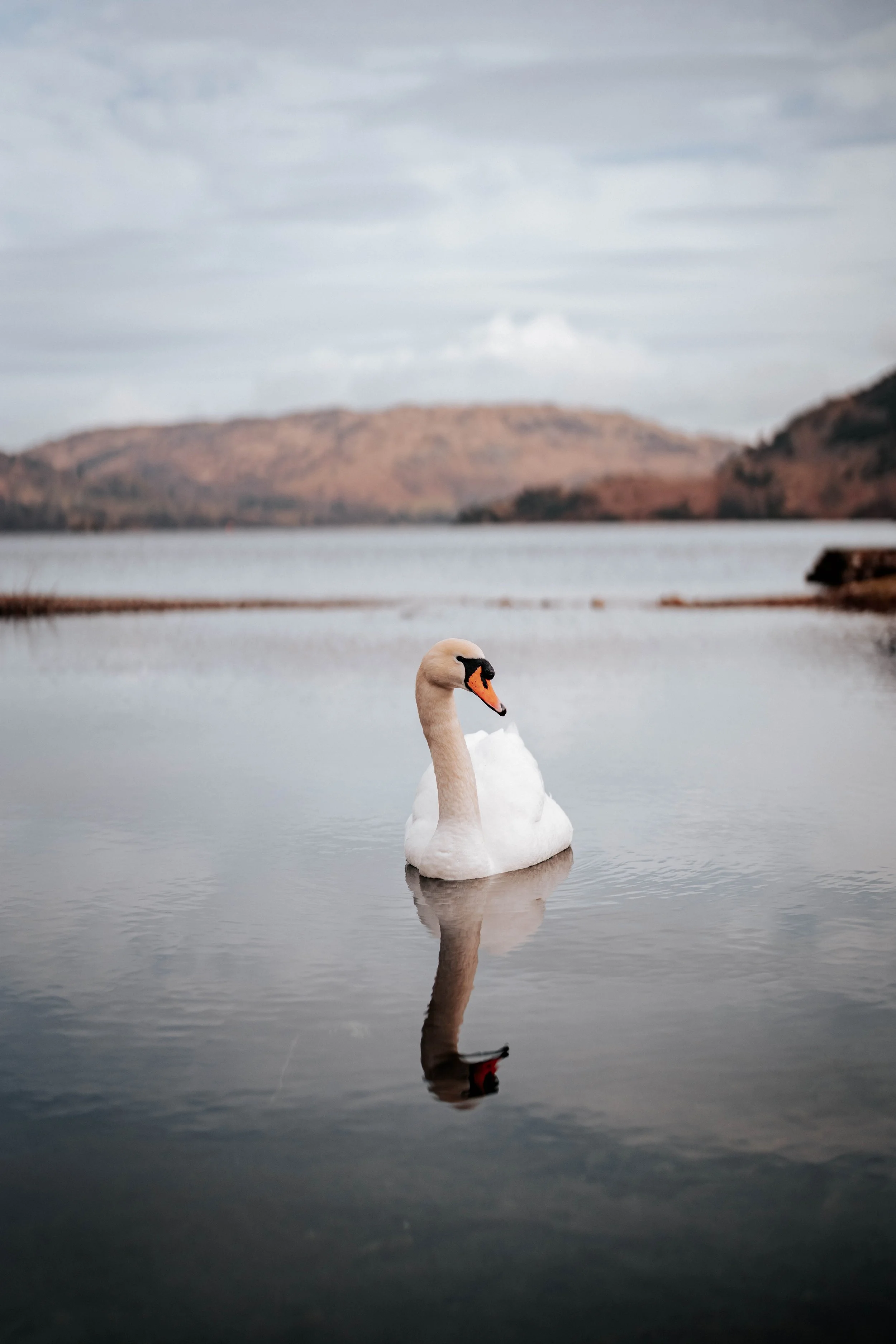 Shaun & Laura -- Inn On The Lake-6.jpg