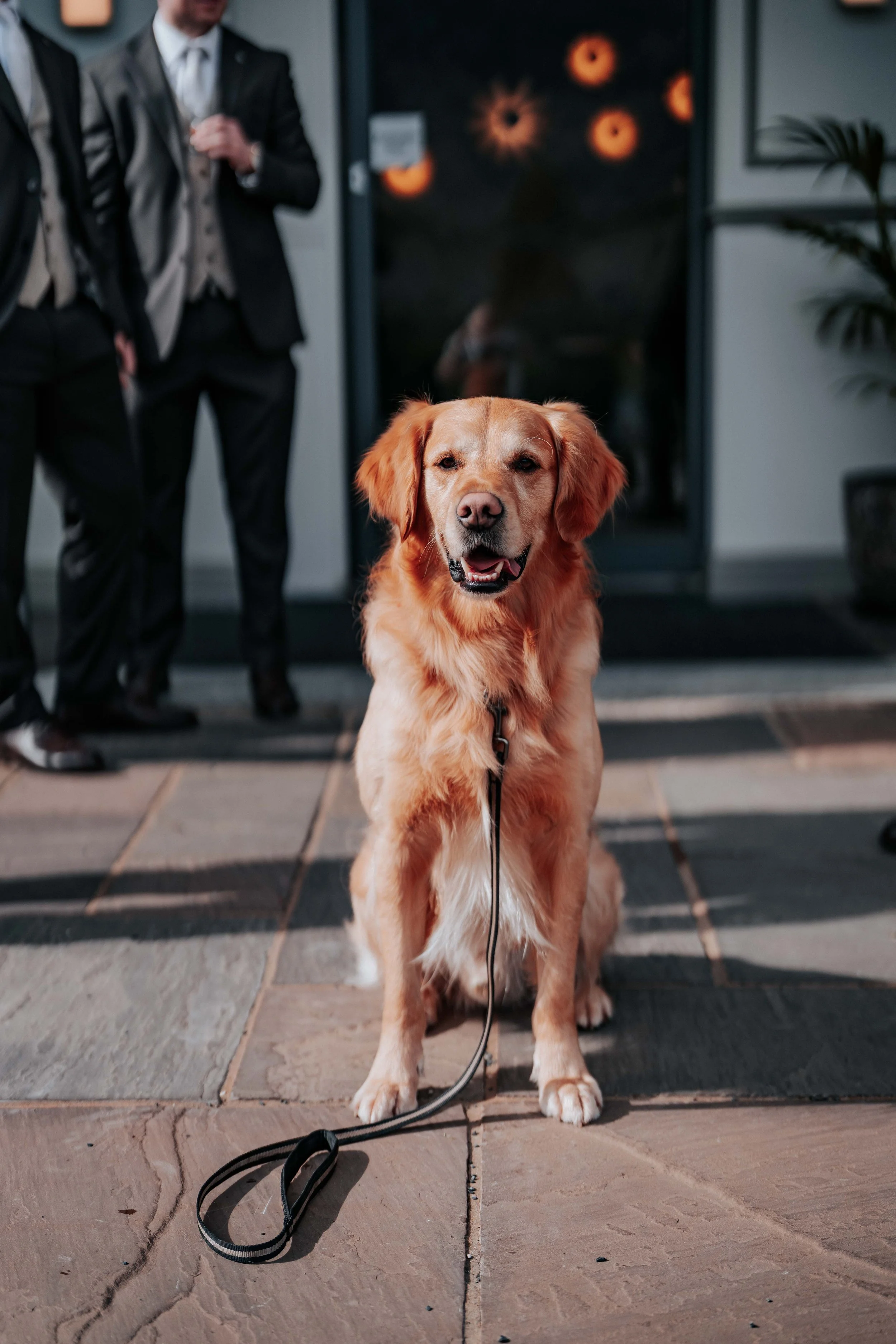 Shaun & Laura -- Inn On The Lake-32.jpg