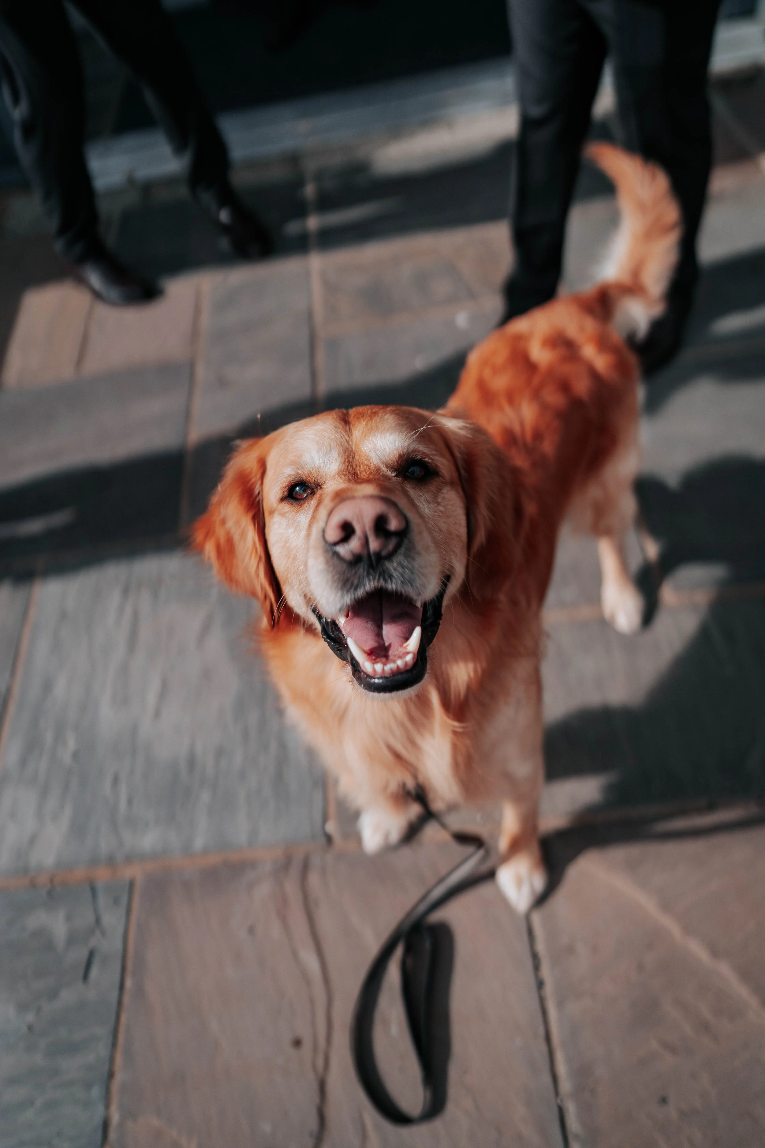 Shaun & Laura -- Inn On The Lake-33.jpg