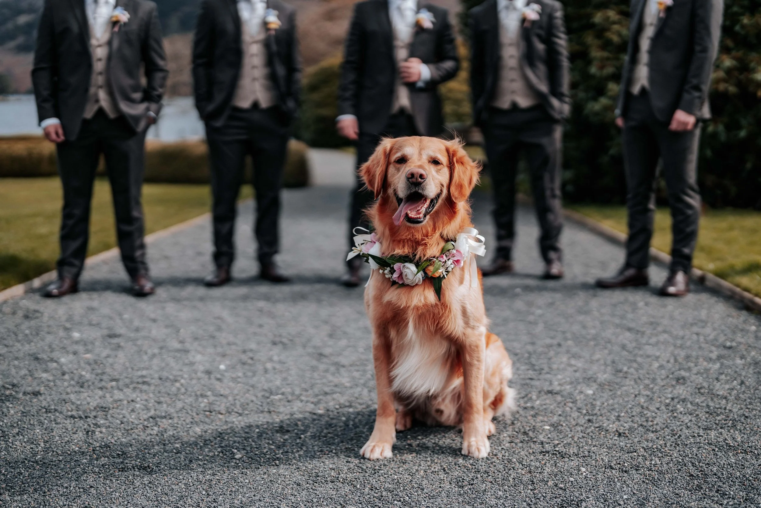 Shaun & Laura -- Inn On The Lake-51.jpg