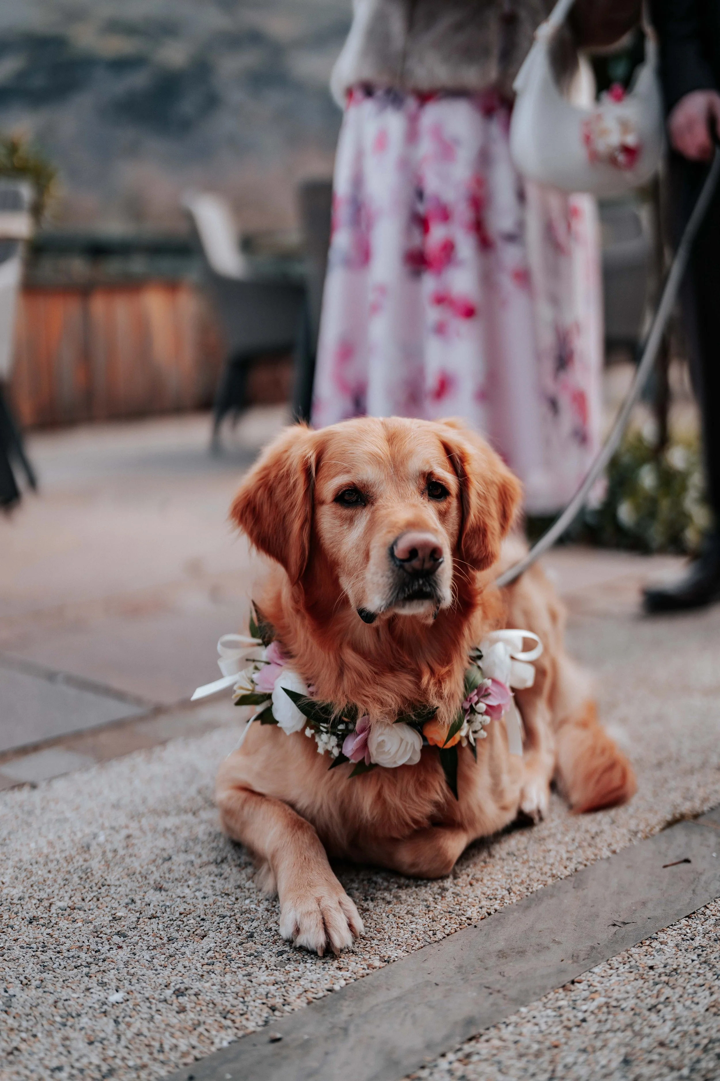 Shaun & Laura -- Inn On The Lake-96.jpg