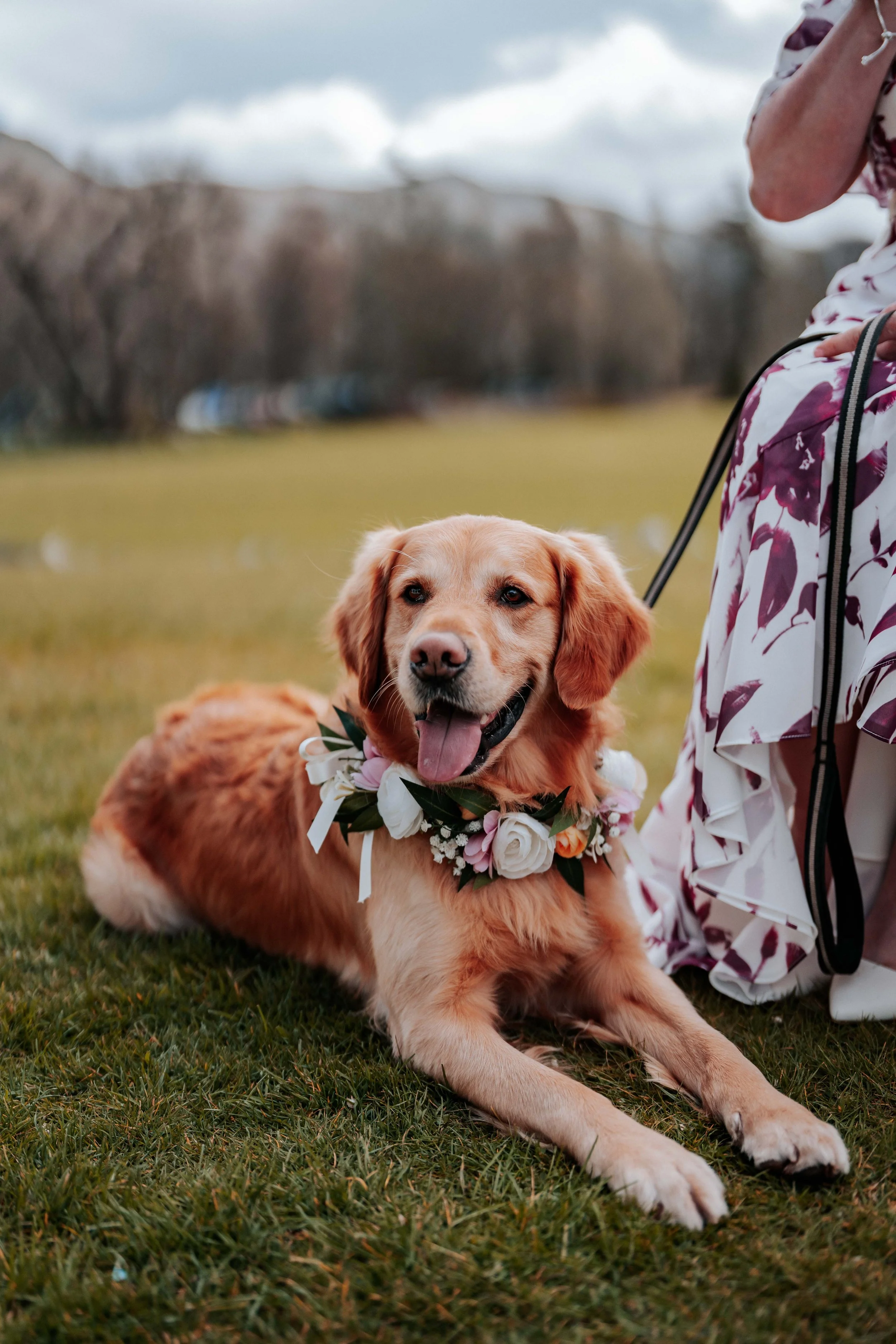 Shaun & Laura -- Inn On The Lake-109.jpg