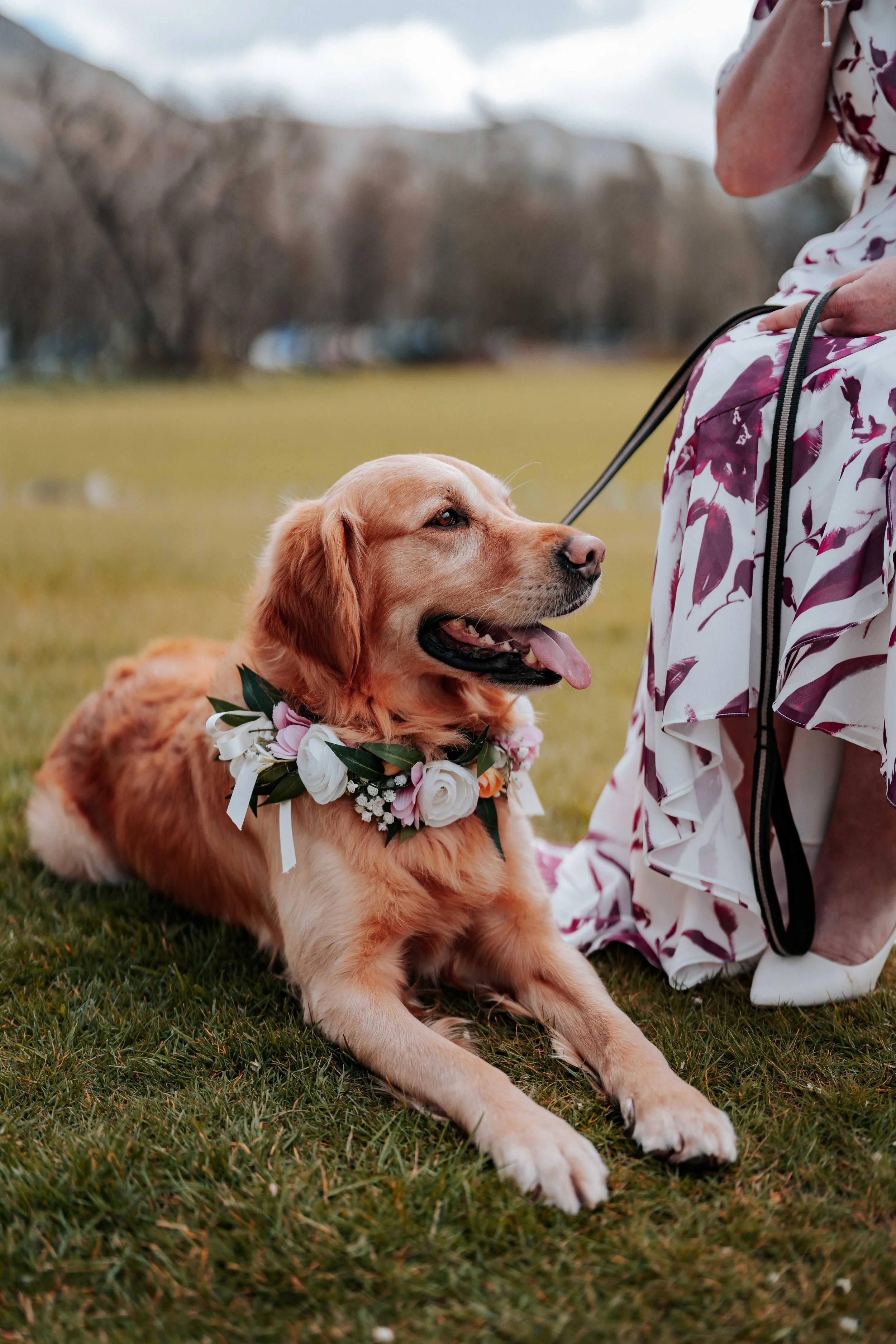 Shaun & Laura -- Inn On The Lake-110.jpg