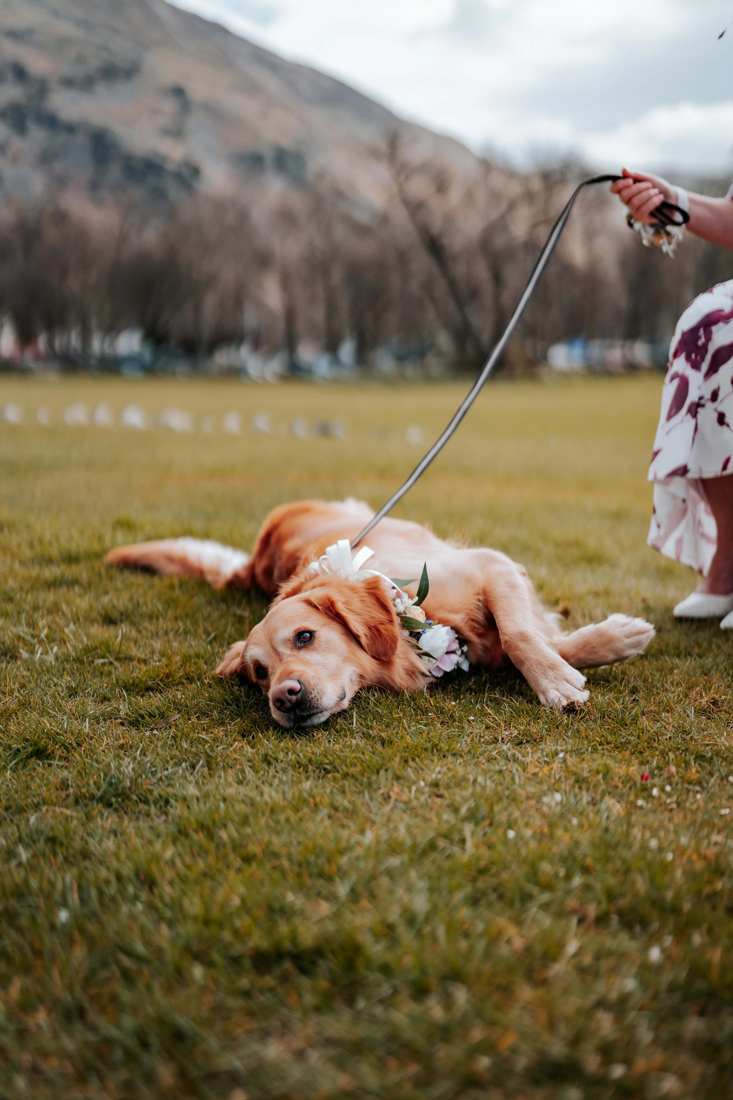 Shaun & Laura -- Inn On The Lake-111.jpg