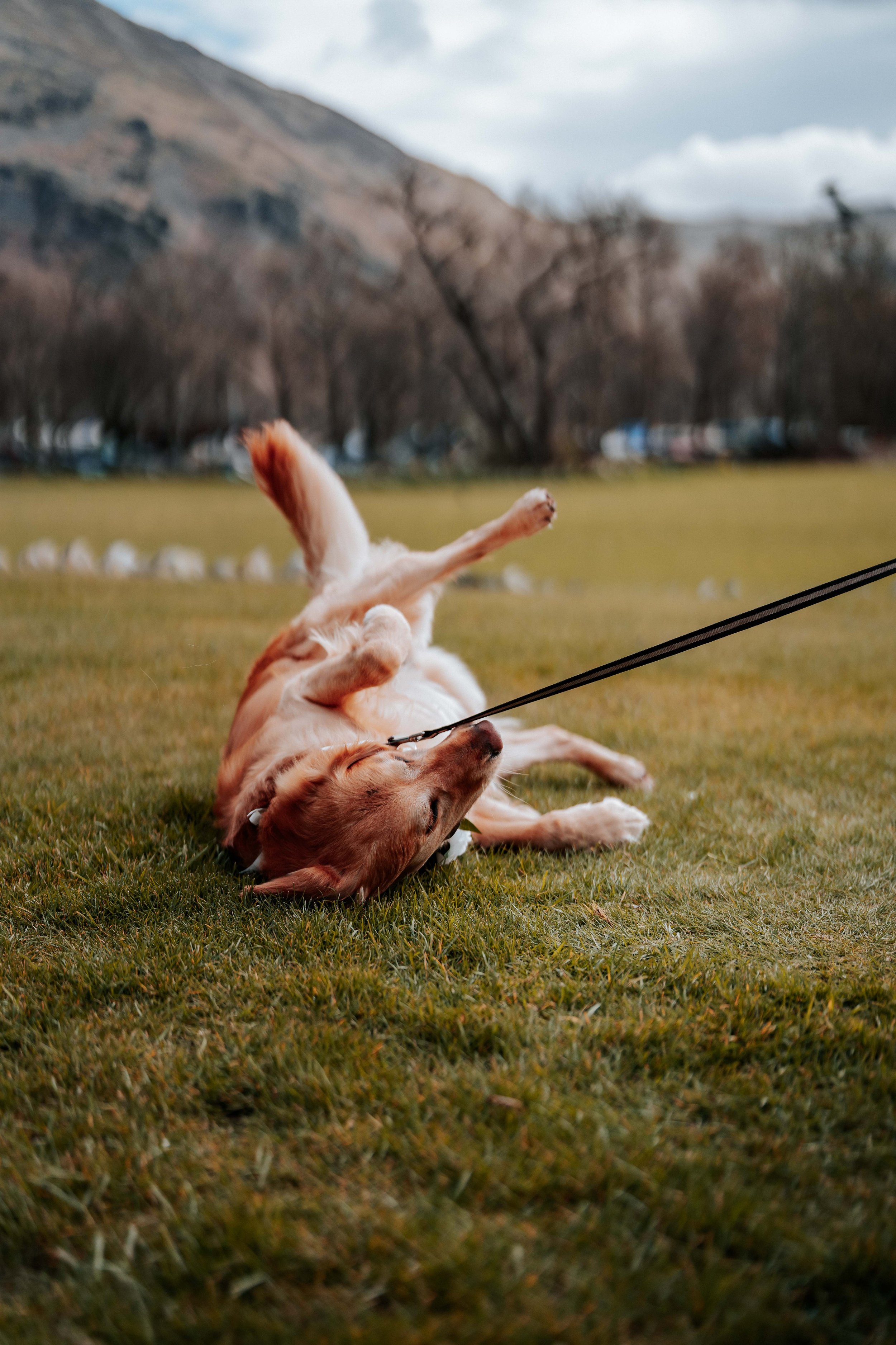 Shaun & Laura -- Inn On The Lake-113.jpg