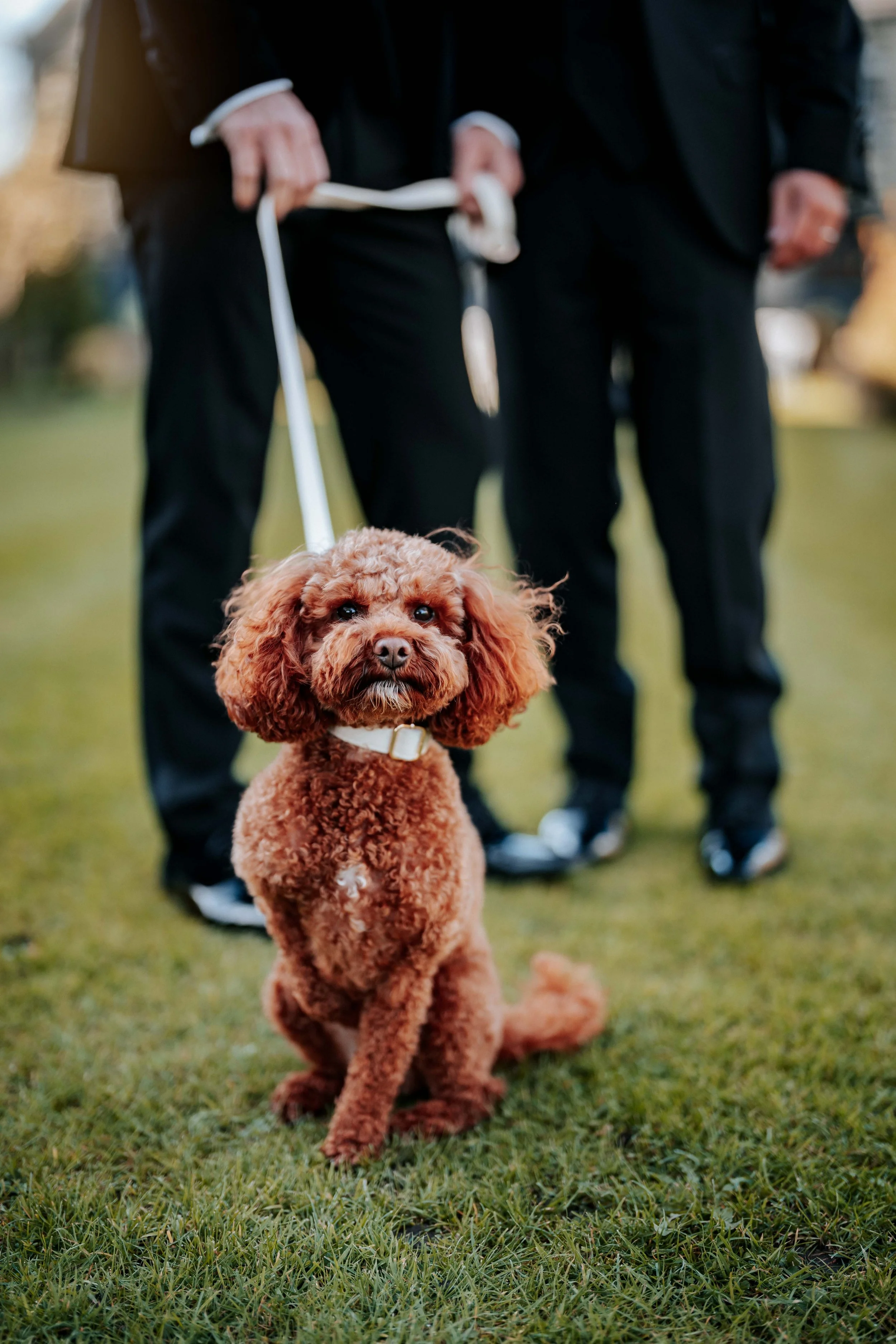 Jonny & Lewis -- Wharfedale Grange-134.jpg