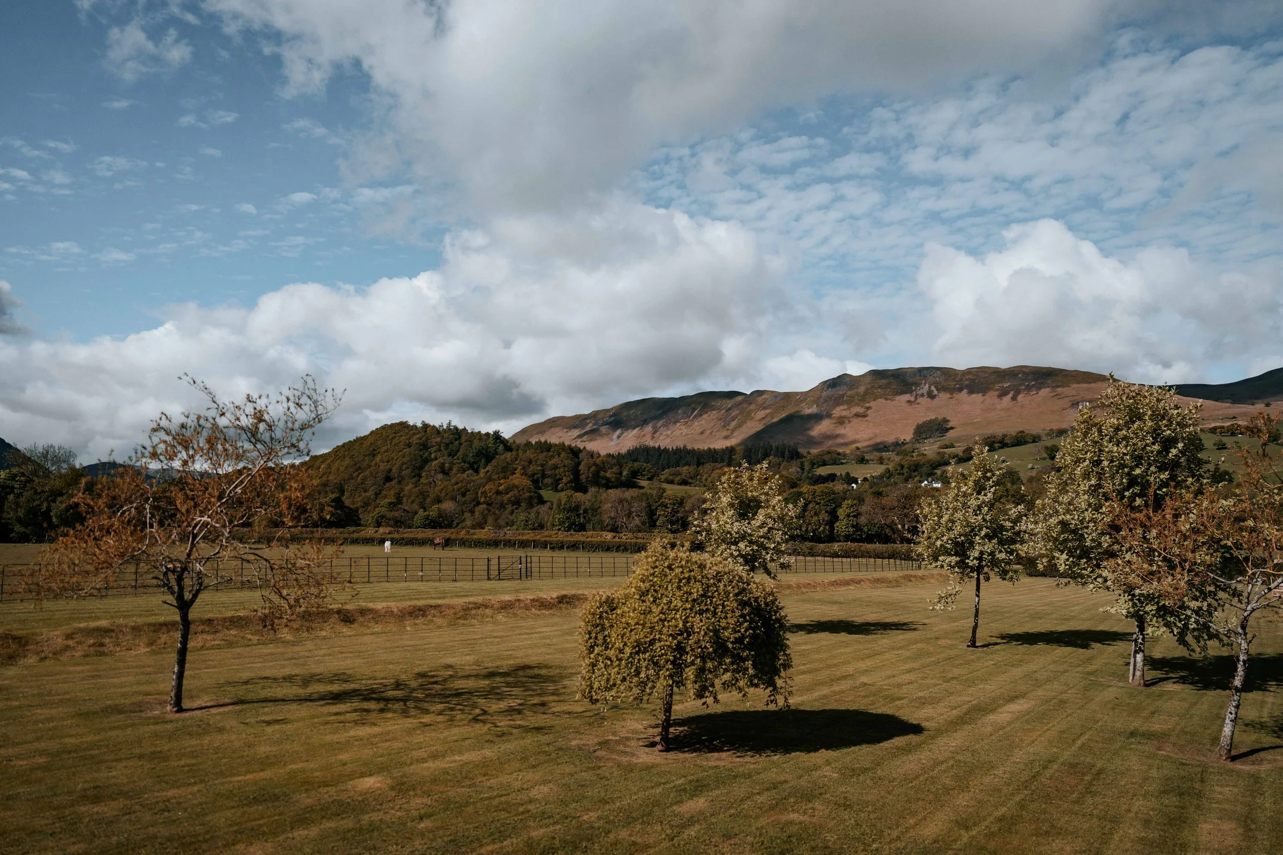 Lewis & Grace -- New House Farm-4.jpg