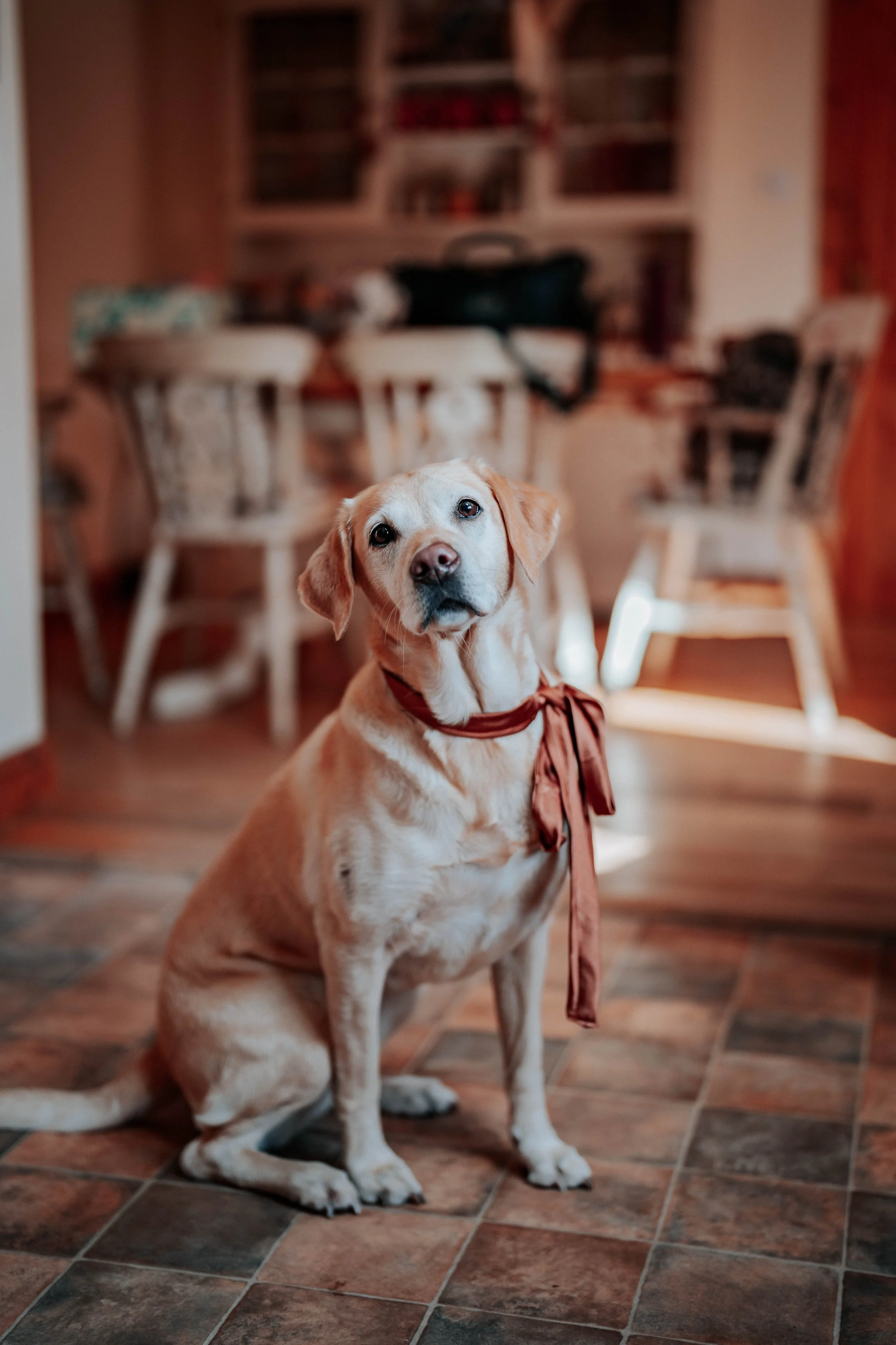 Nicky & Anna -- Roundthorn Country House-17.jpg