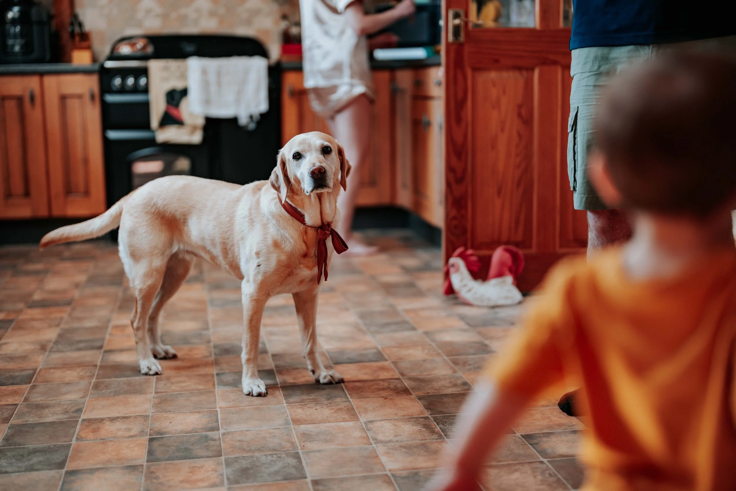 Nicky & Anna -- Roundthorn Country House-22.jpg