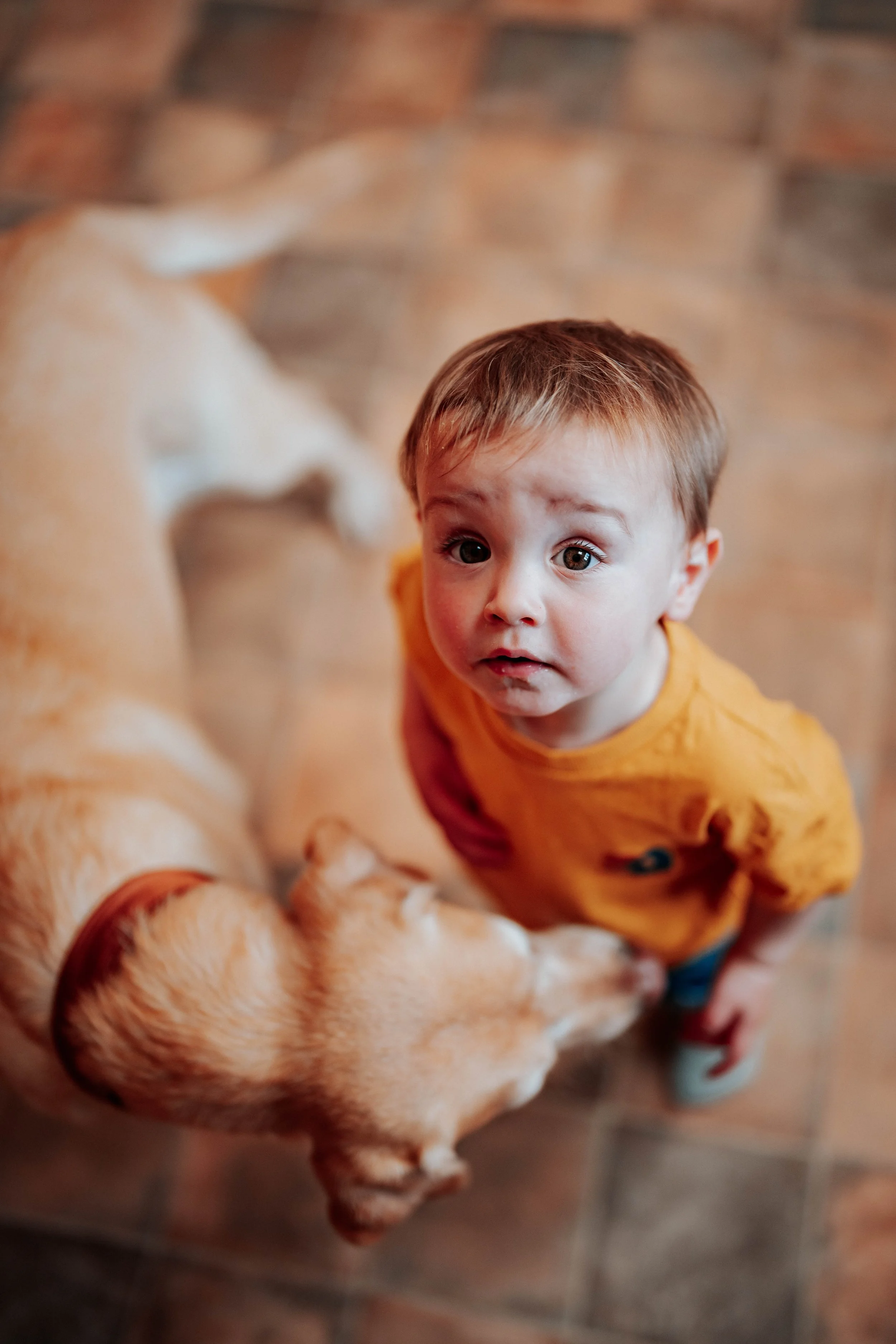 Nicky & Anna -- Roundthorn Country House-23.jpg