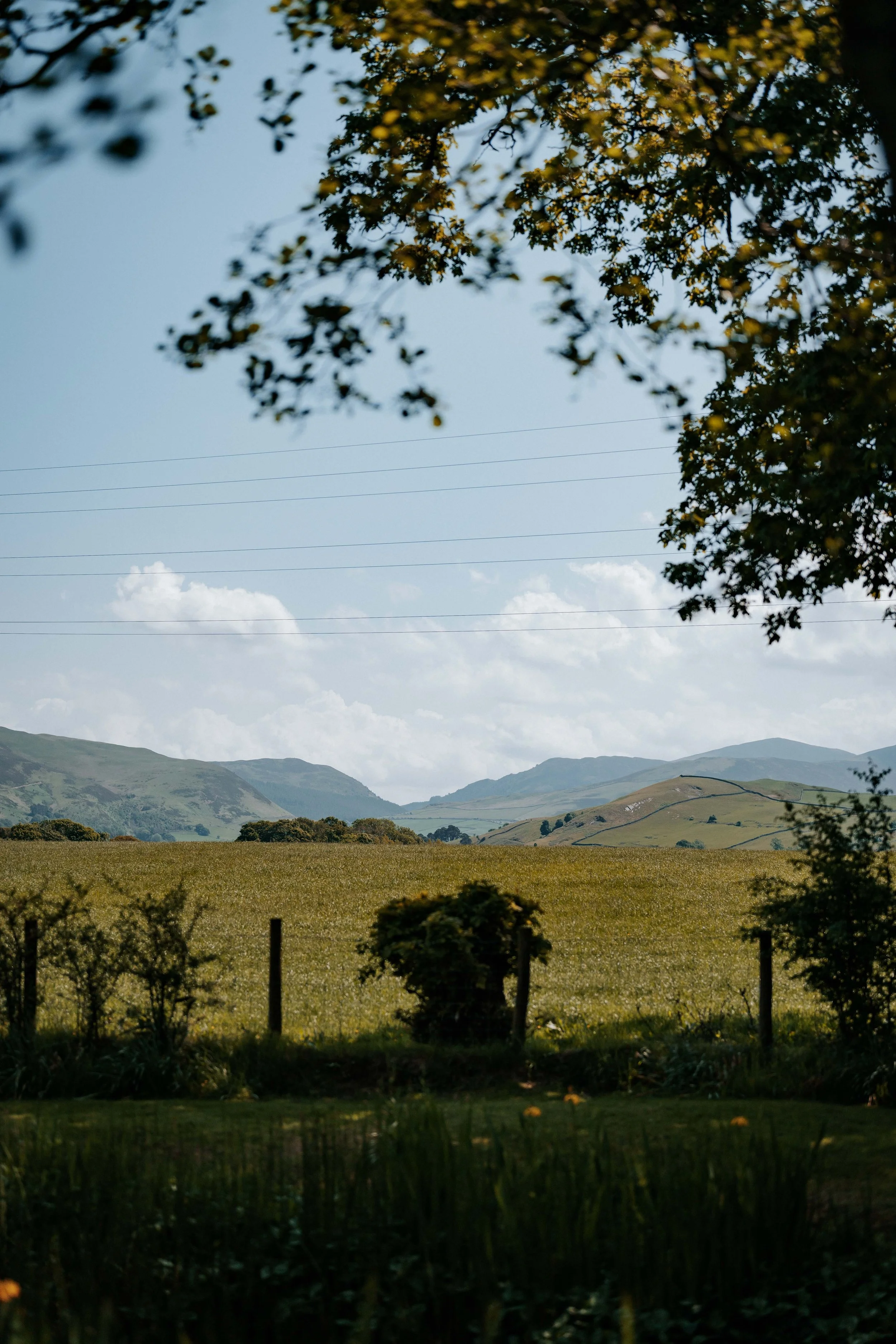 Seb & Naomi -- Low Hall The Lakes-49.jpg