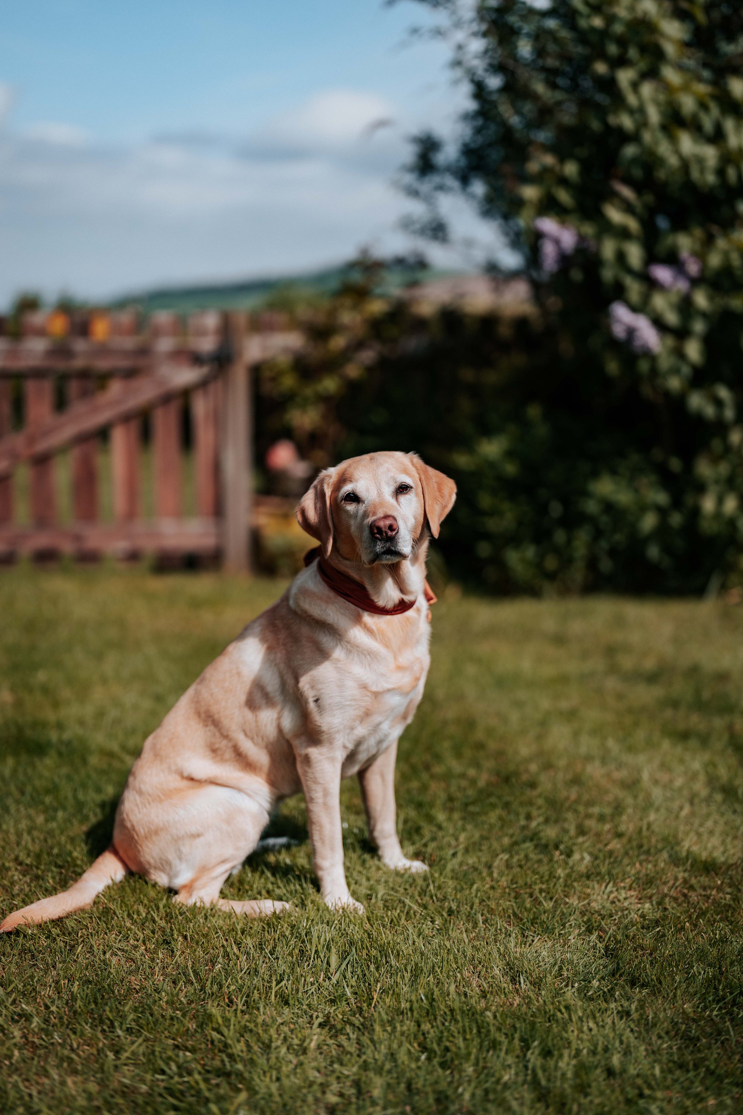 Nicky & Anna -- Roundthorn Country House-6.jpg