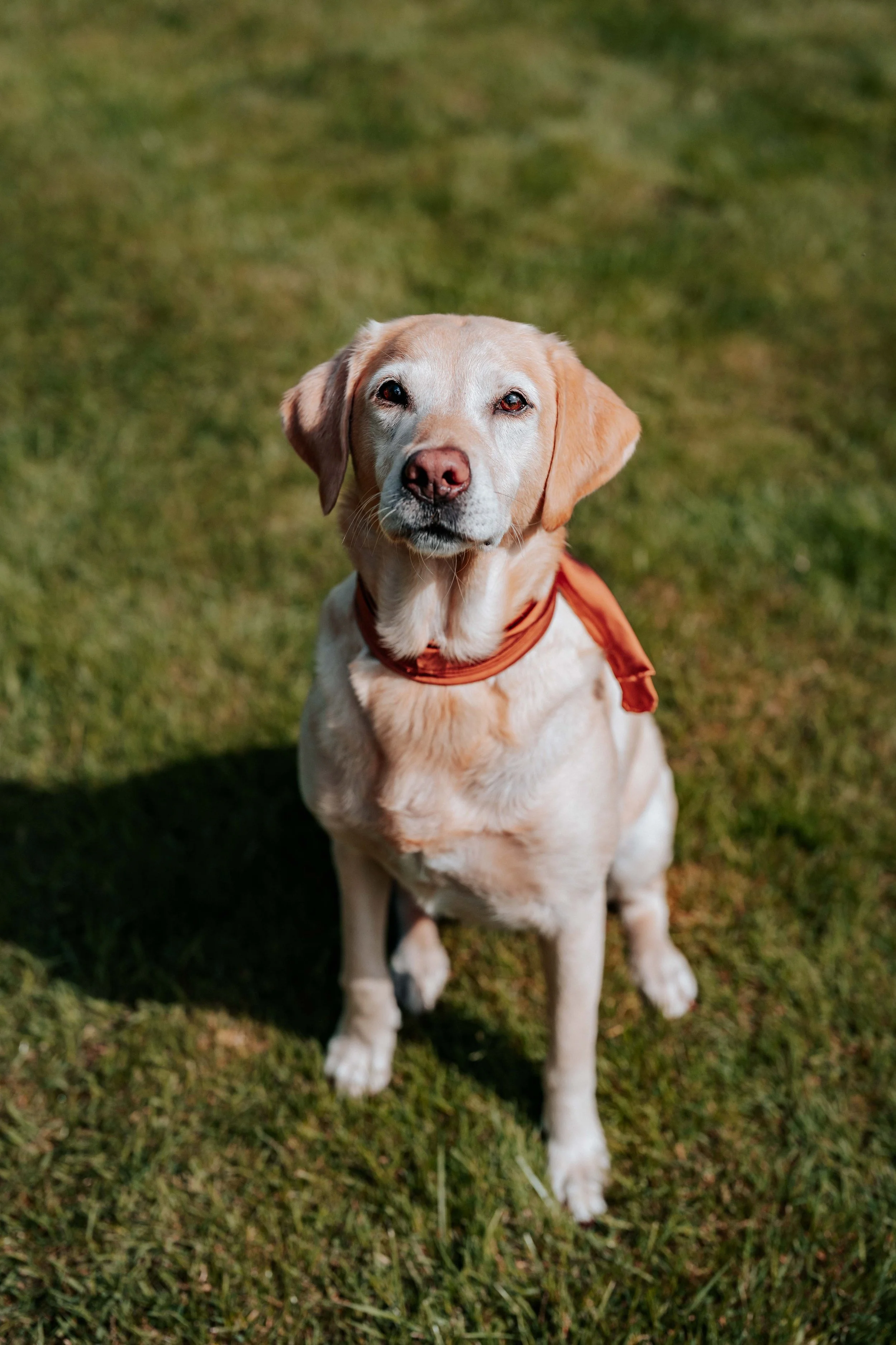 Nicky & Anna -- Roundthorn Country House-7.jpg