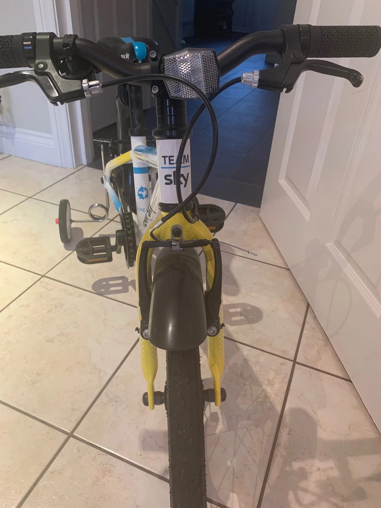 frog 48 team sky