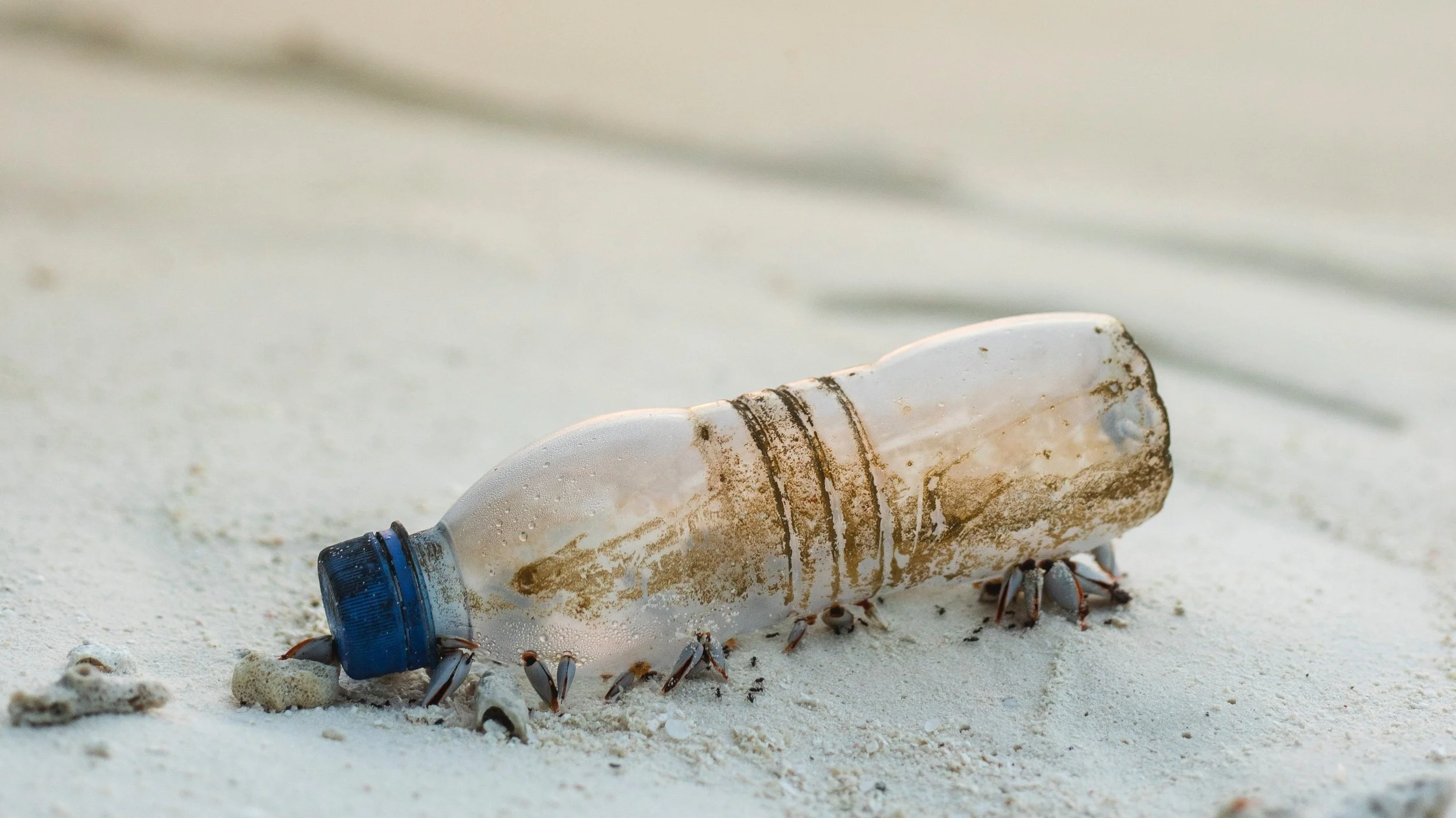 One Minute Brief of the Day: Campaign to promote #PlasticFreeTravel with @CityToSea_